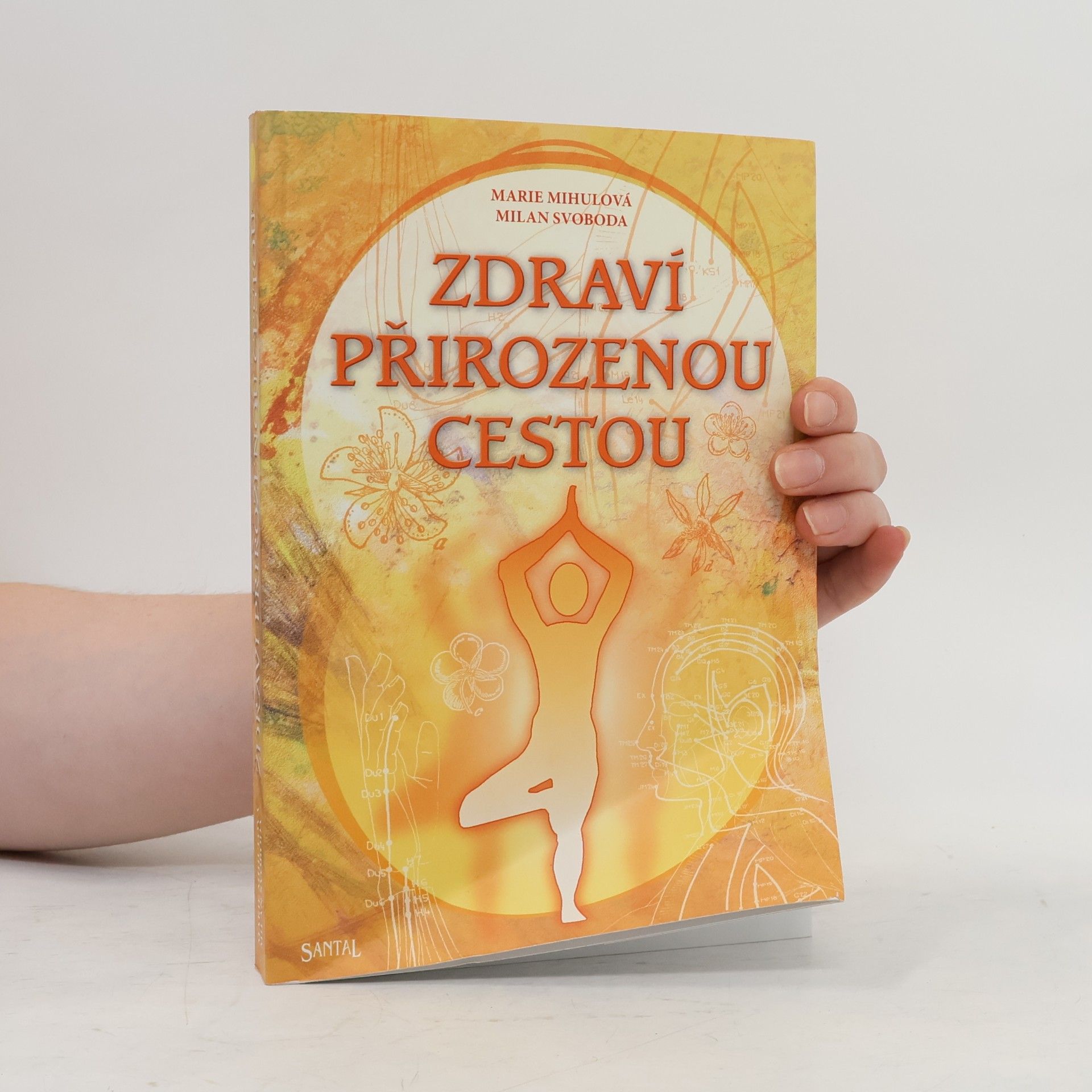 M. Mihulová Základy jógy