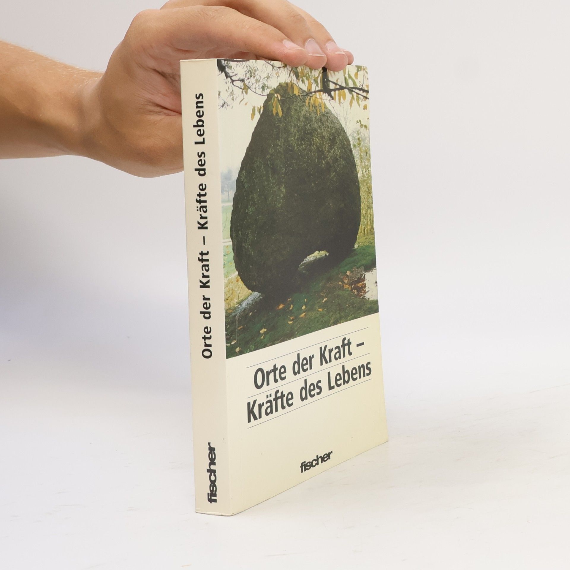 Wulfing Rohr Orte der Kraft, Kräfte des Lebens