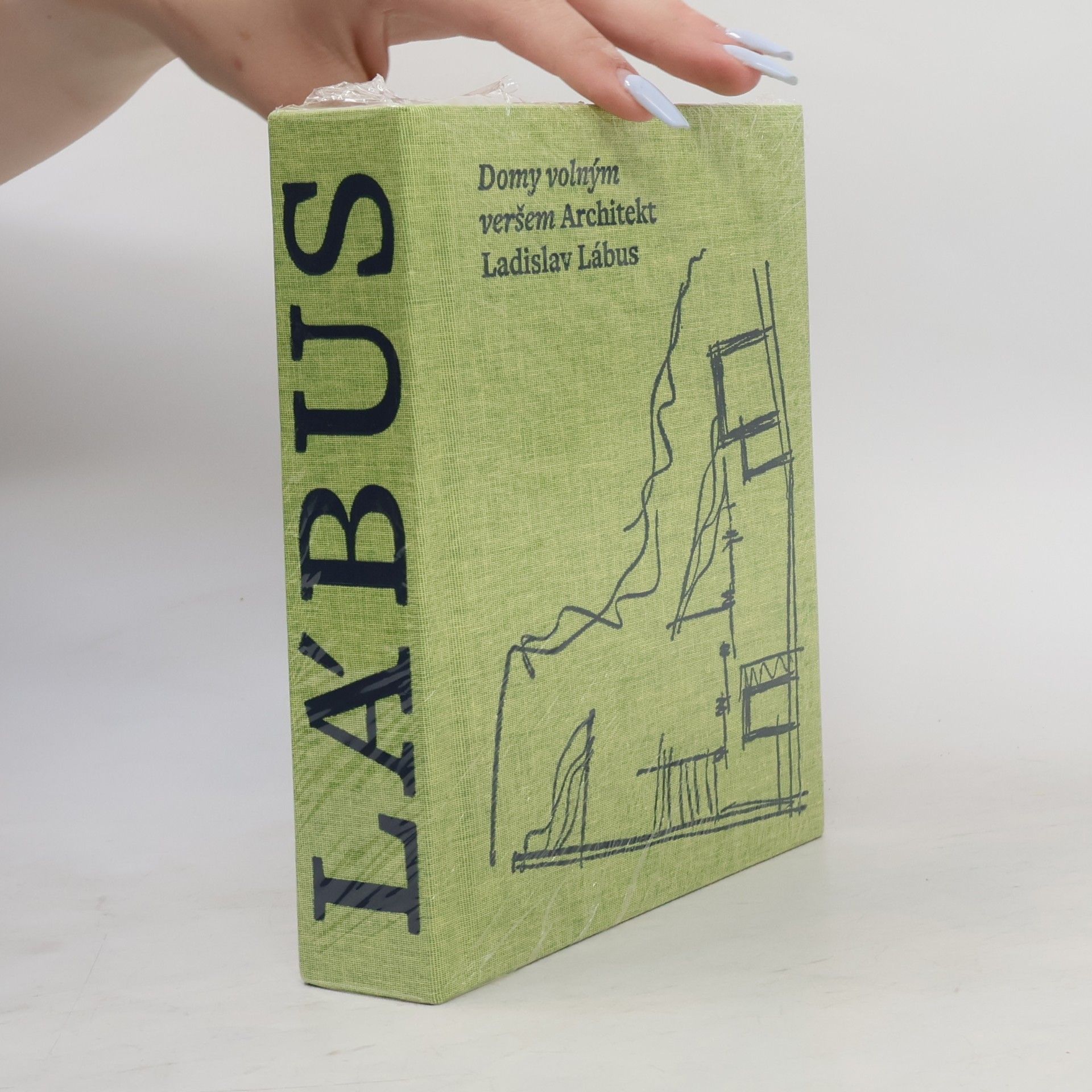 Josef Pleskot Domy volným veršem. Architekt Ladislav Lábus