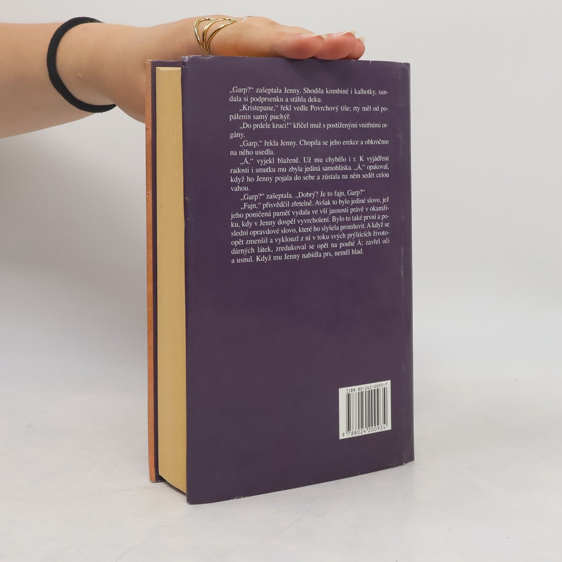 John Irving Svět podle Garpa