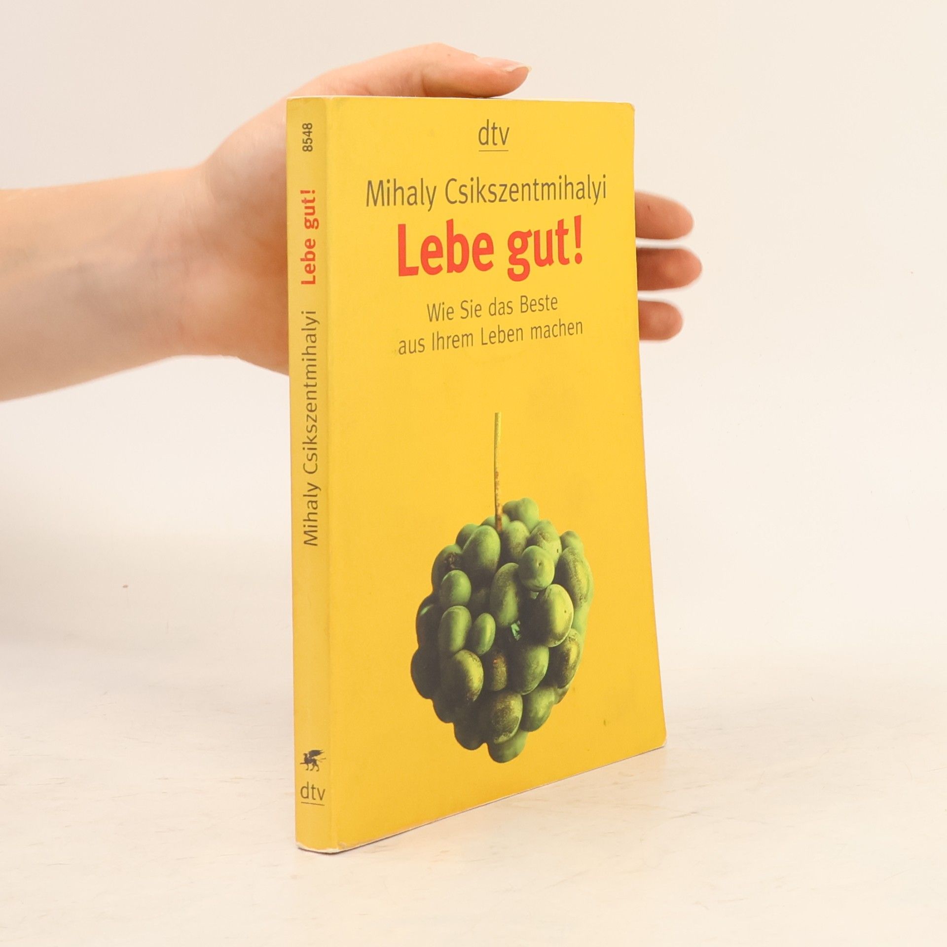 Mihaly Csikszentmihalyi Lebe gut!