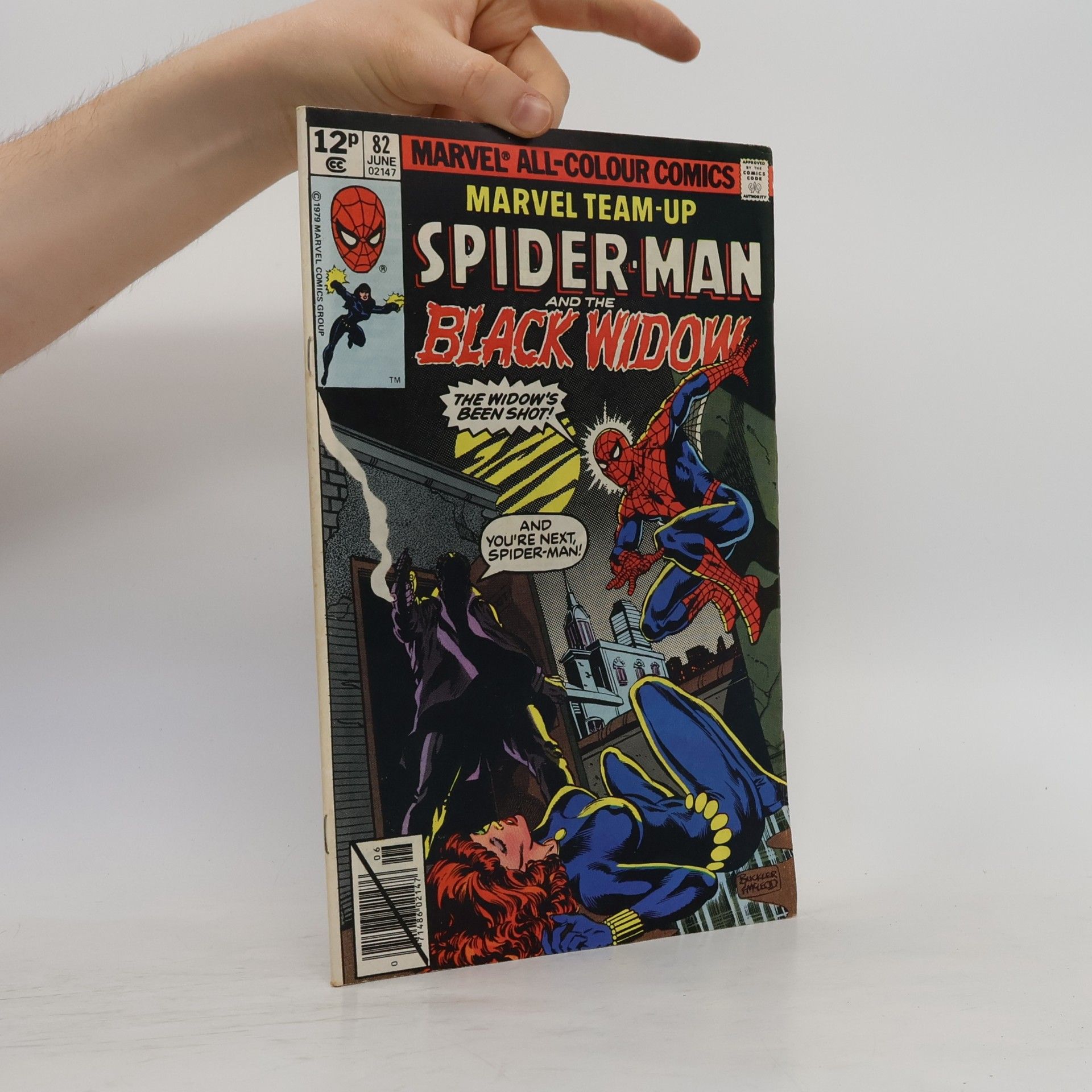 Autorenkollektiv Spider-Man and the Black Widow