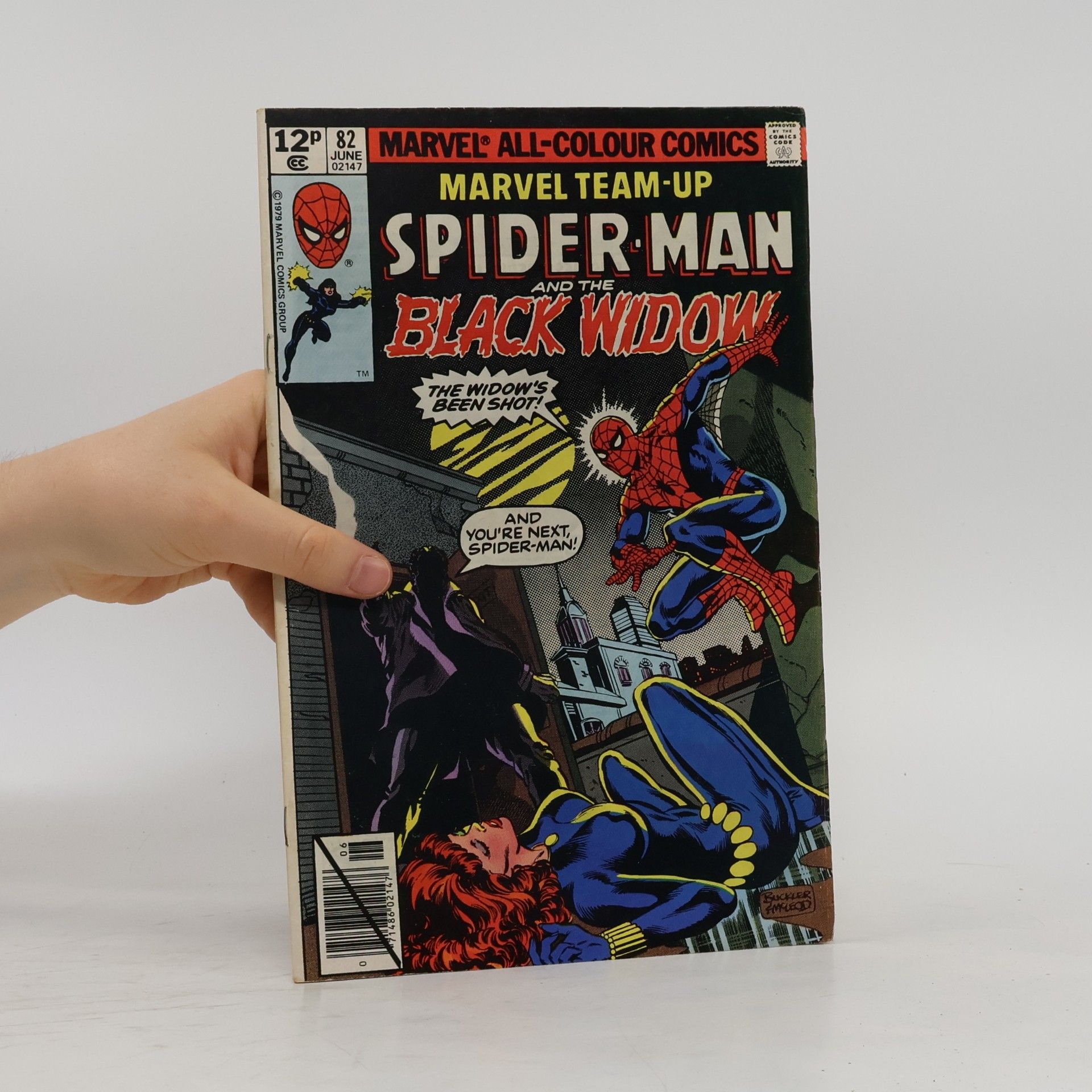 Autorenkollektiv Spider-Man and the Black Widow
