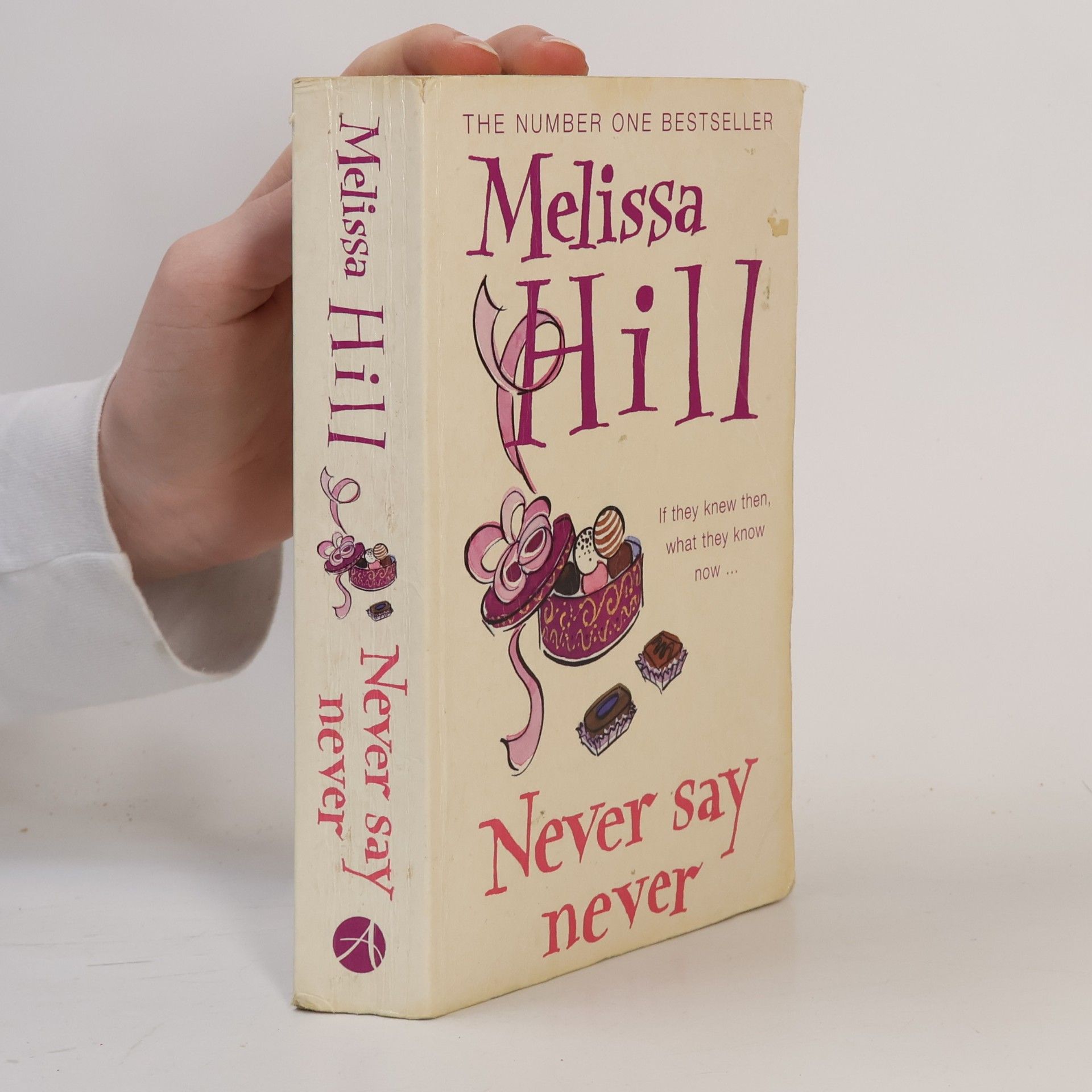 Melissa Hill Never Say Never