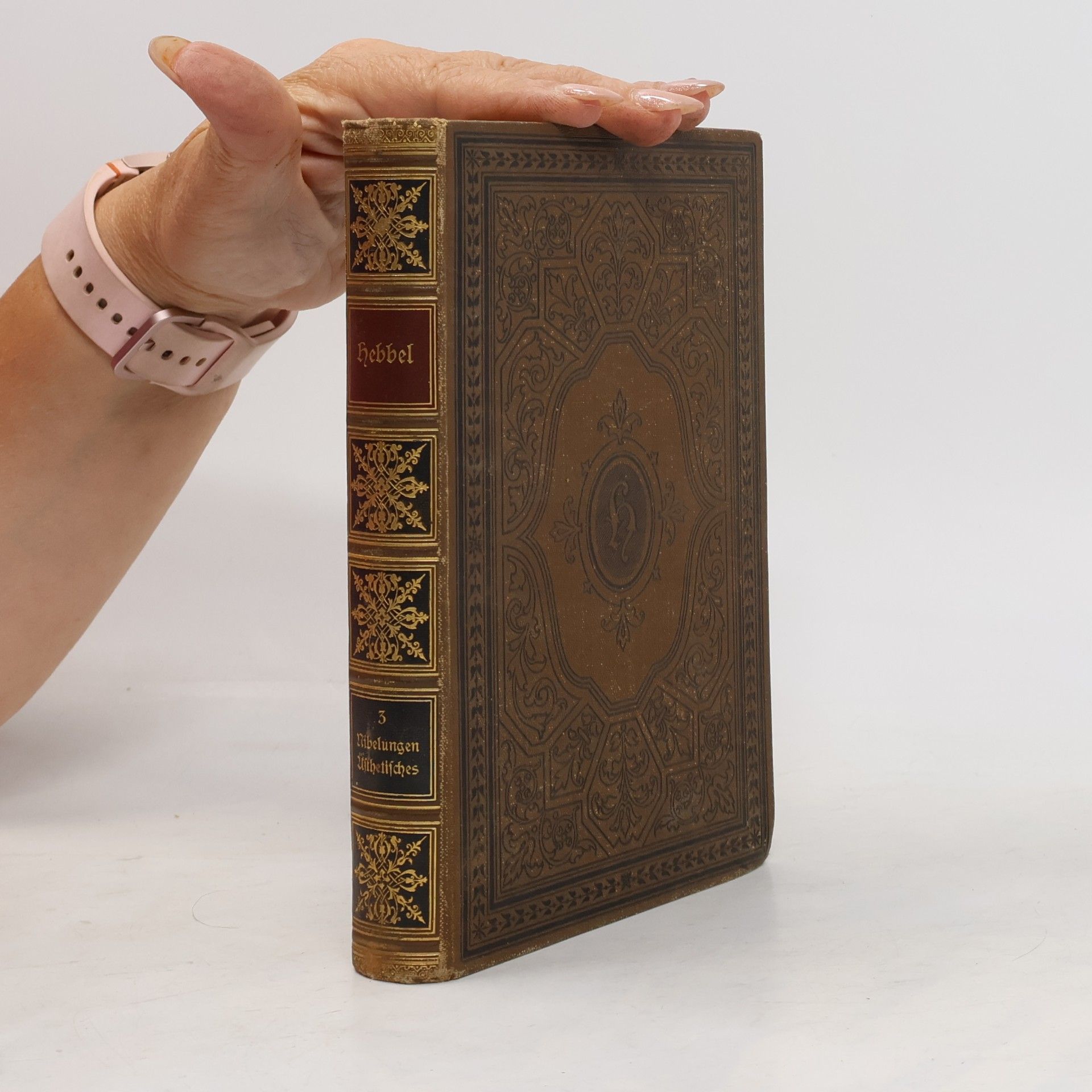 Christian Friedrich Hebbel Hebbels Werke 3