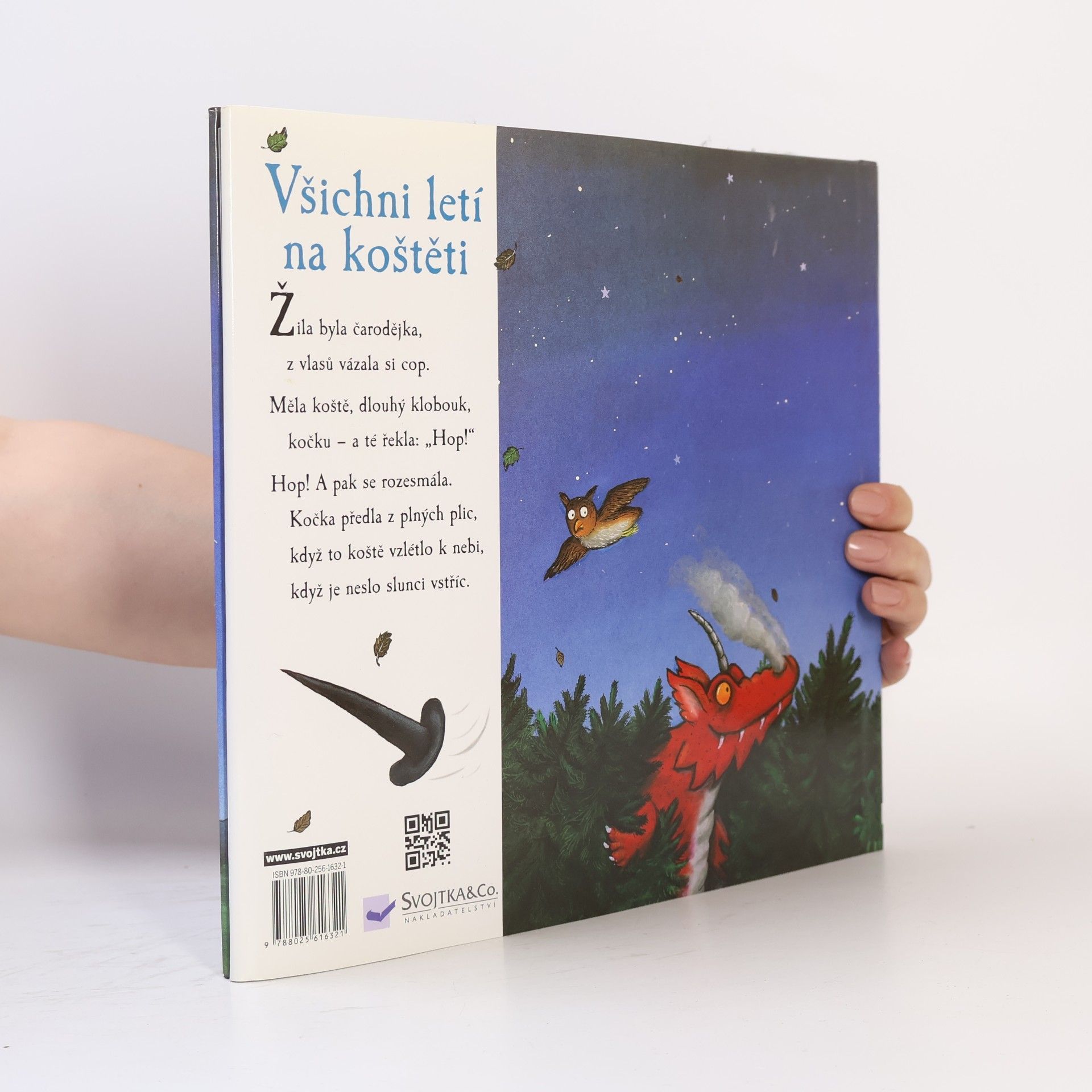 Julia Donaldson Všichni letí na koštěti