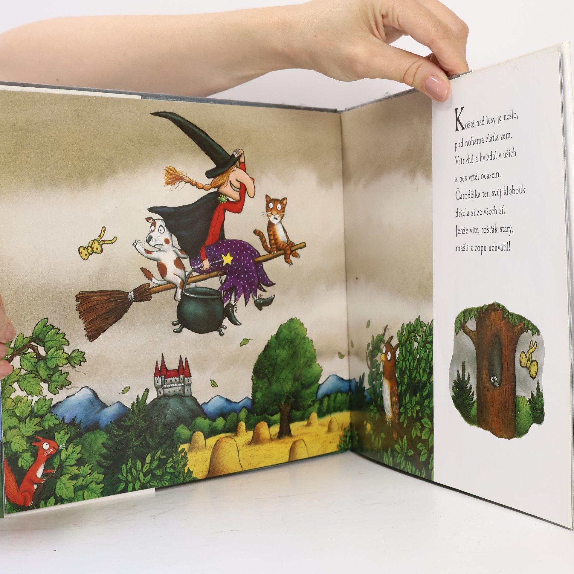 Julia Donaldson Všichni letí na koštěti