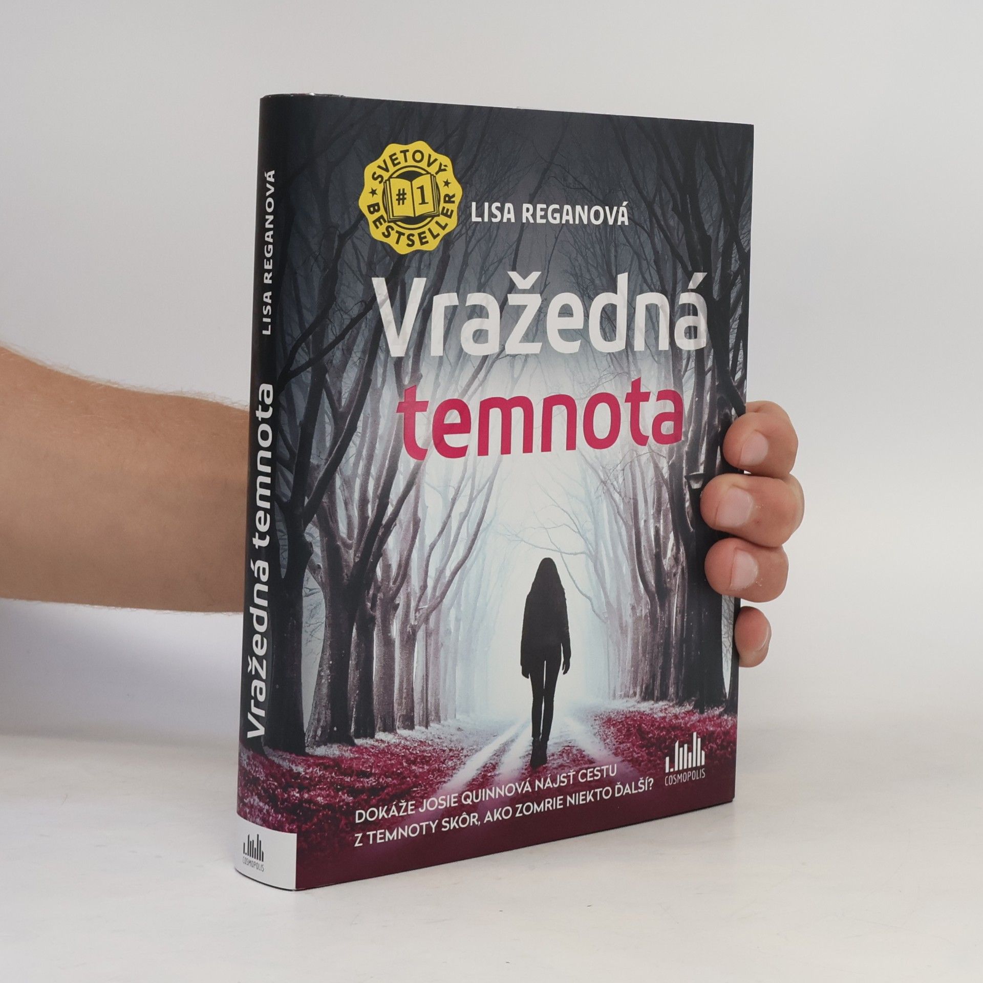 Lisa Regan Vražedná temnota