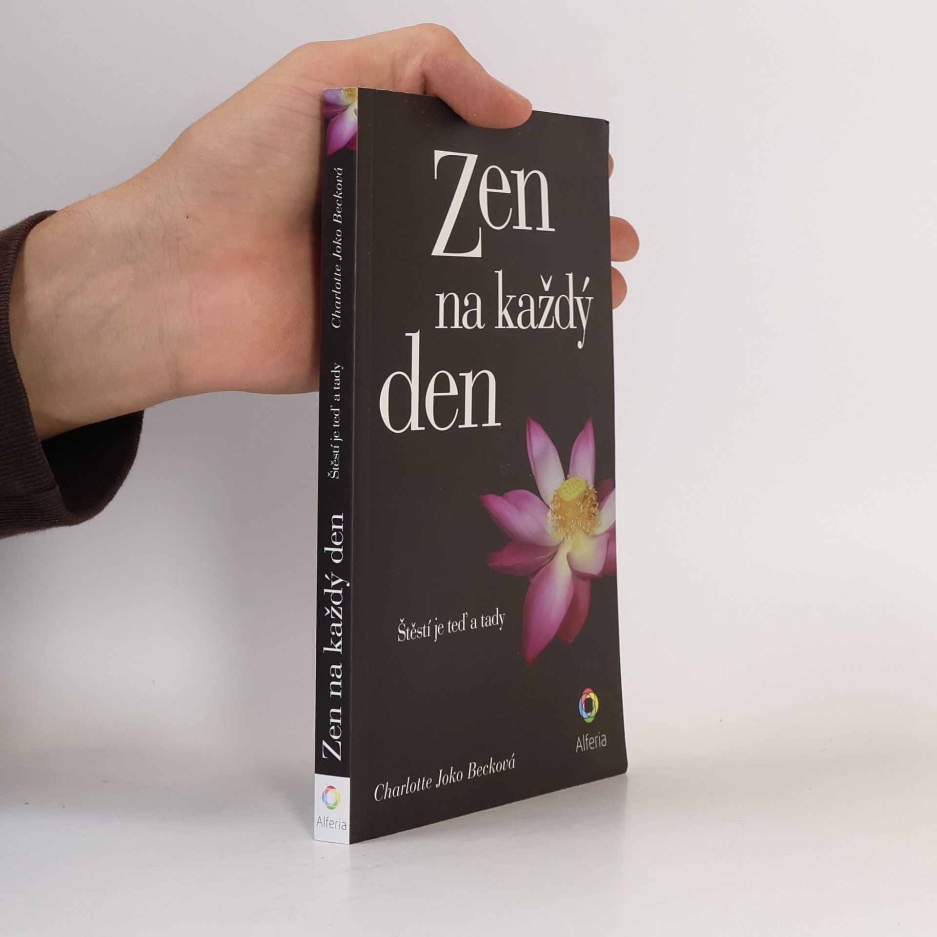 Charlotte Joko Beck Zen na každý den