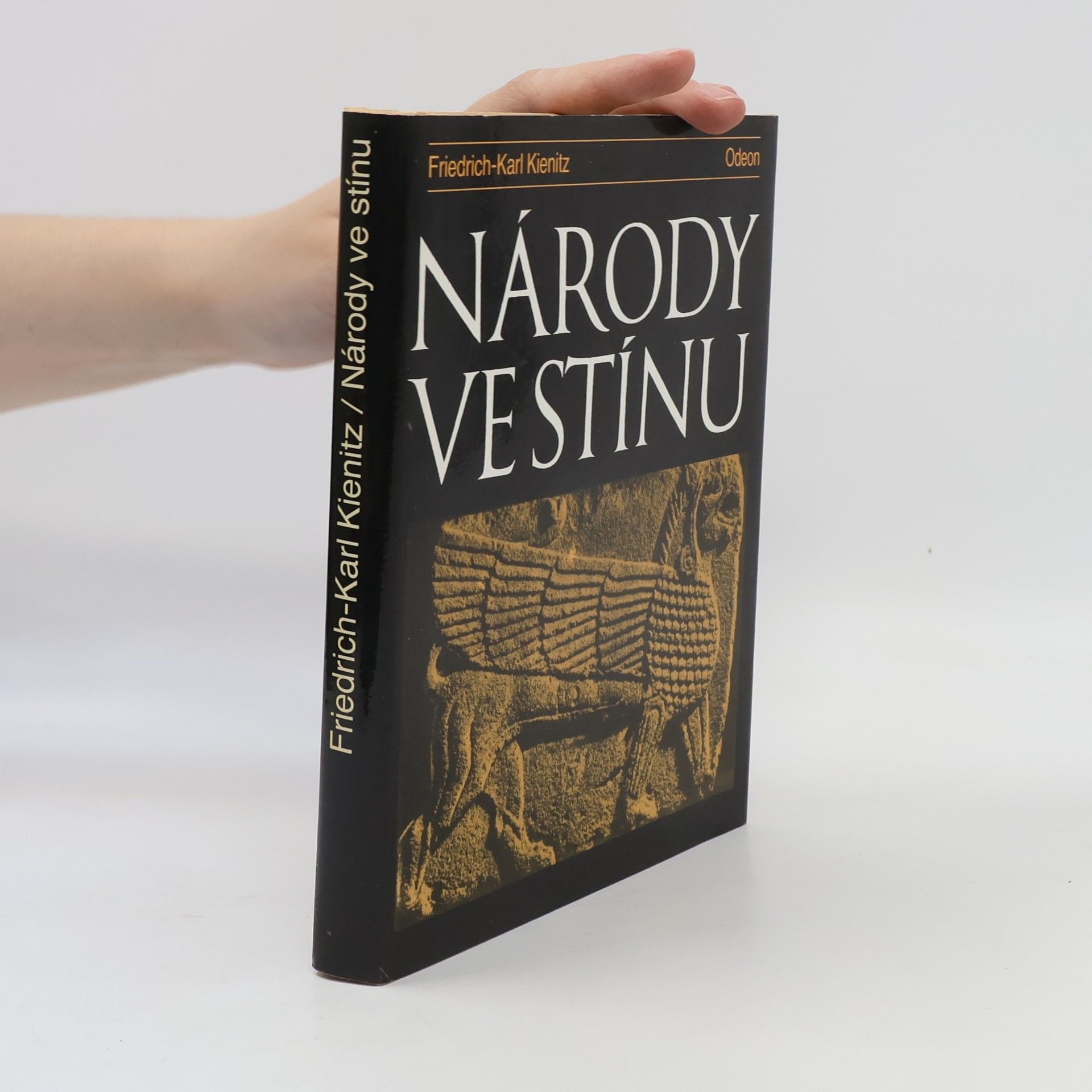 Friedrich Karl Kienitz Národy ve stínu
