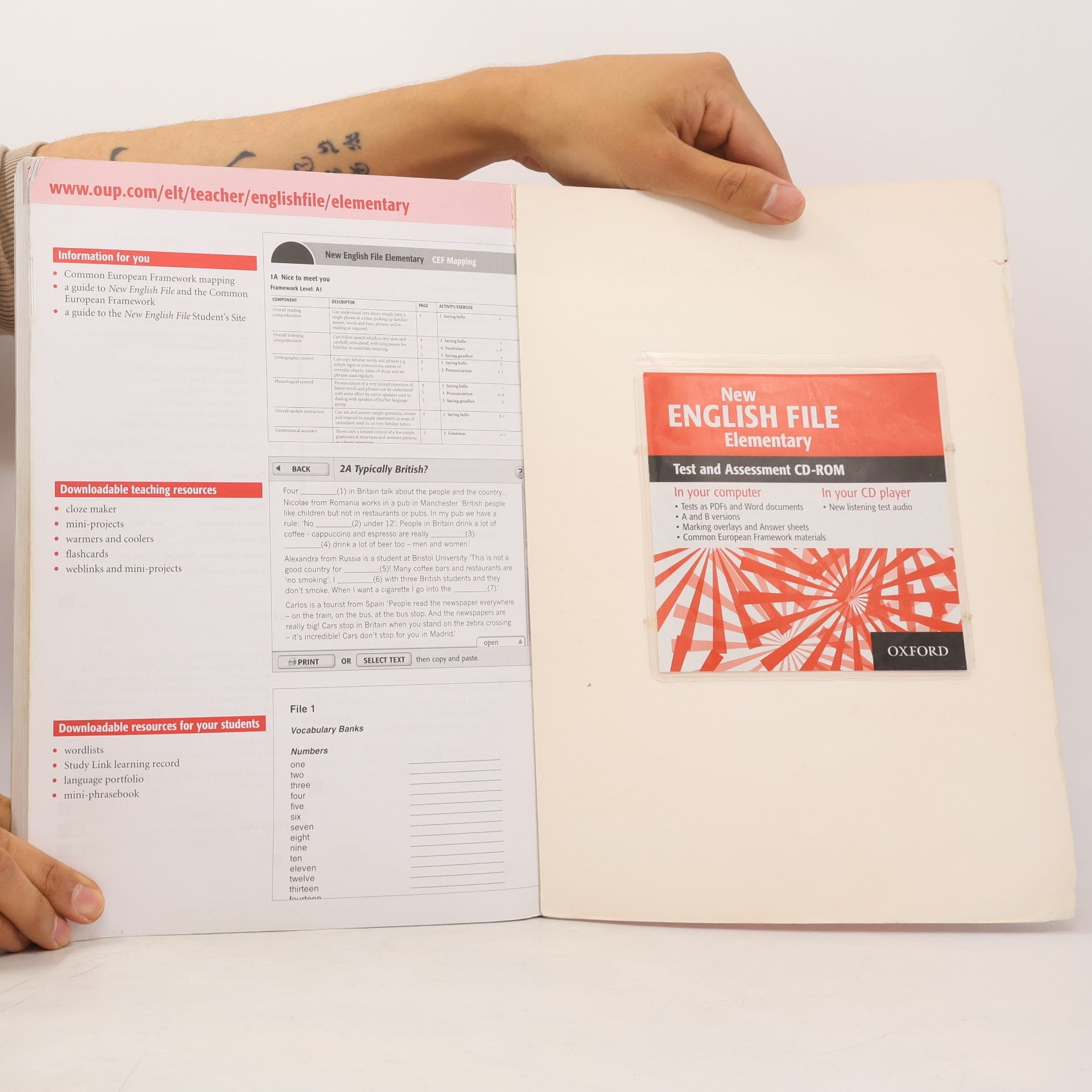 Clive Oxenden New English file. Elementary : Teacher's book