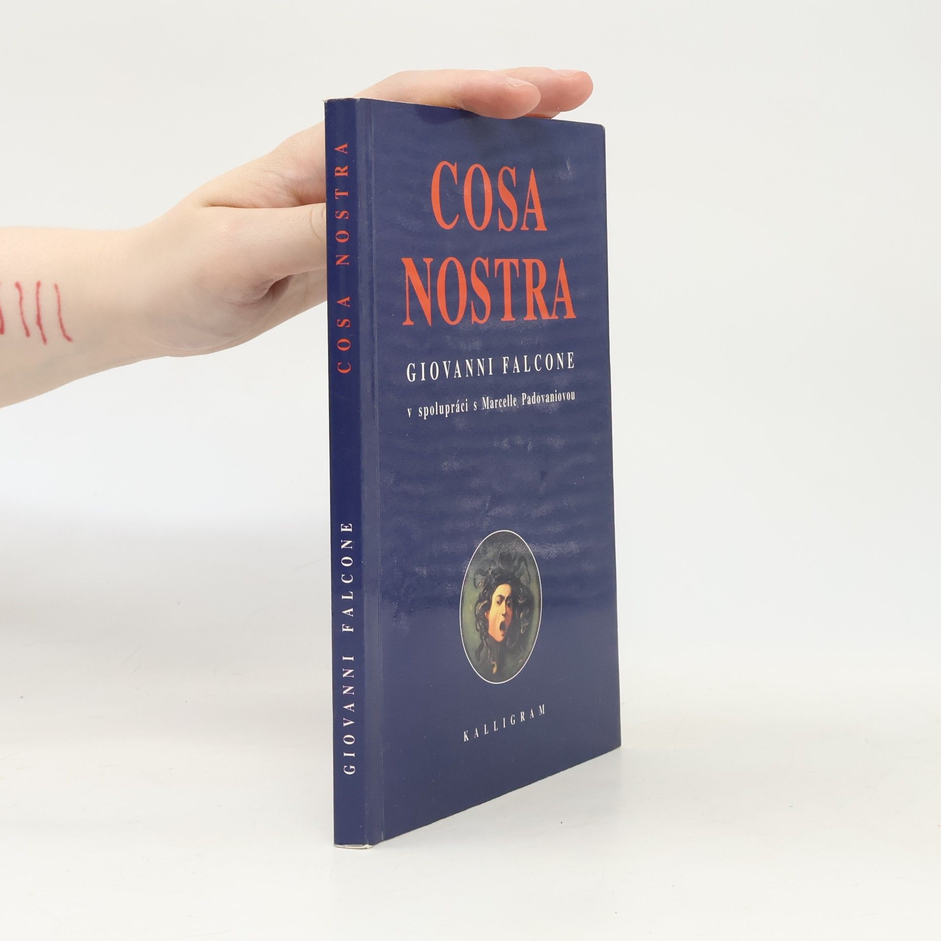 Giovanni Falcone Cosa Nostra