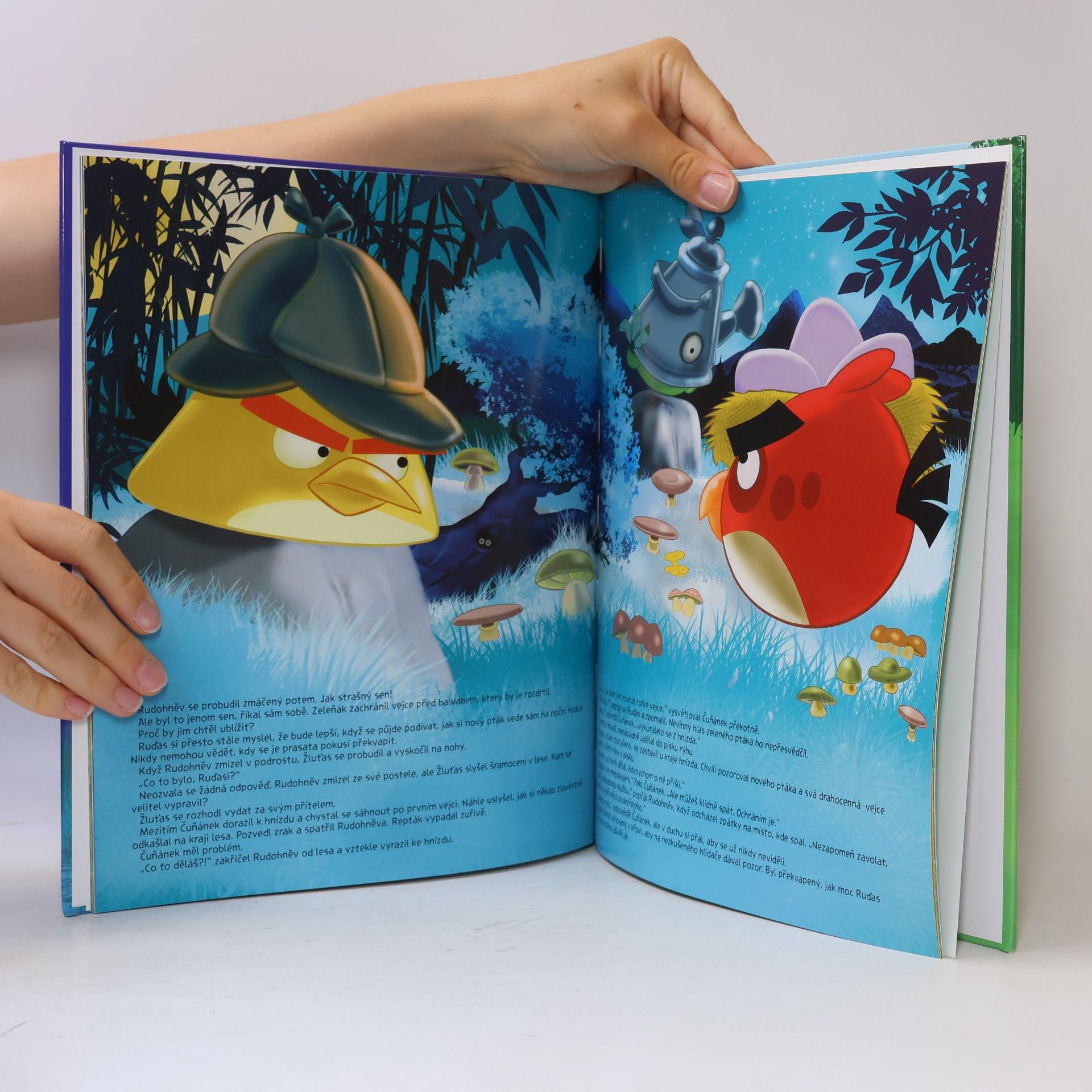 Tapani Bagge Angry Birds. Záhada zeleného ptáka