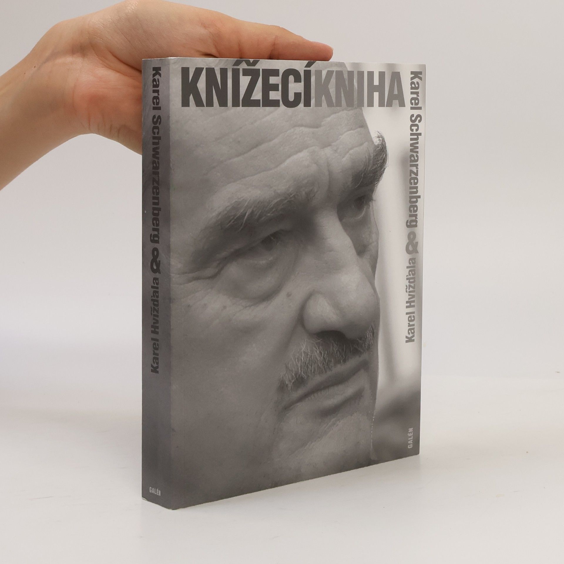 Knížecí kniha