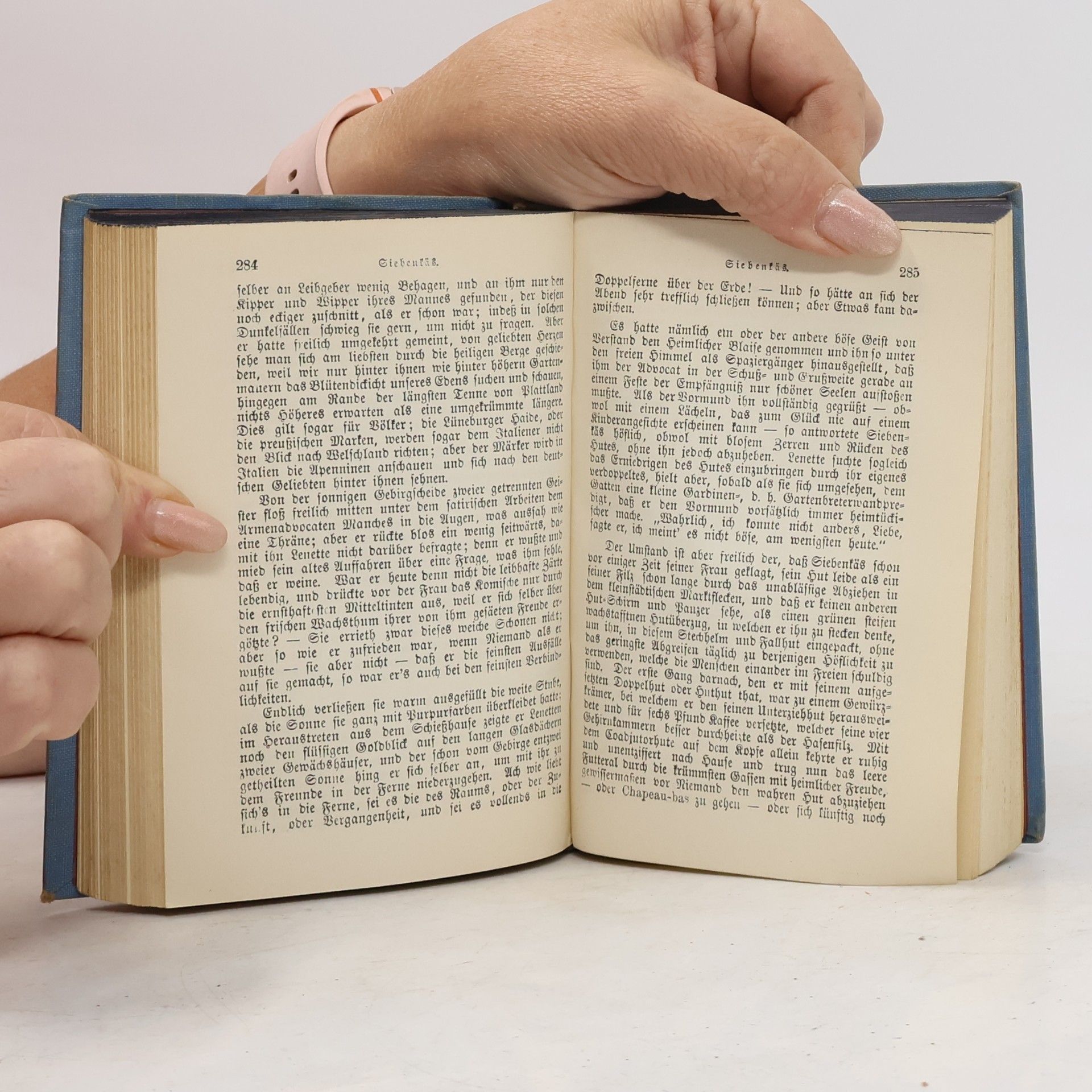 Jean Paul Blumen, Frucht- und Dornenstücke oder Ehestand, Tod und Hochzeit des Armenadvokaten F. St. Siebenkäs