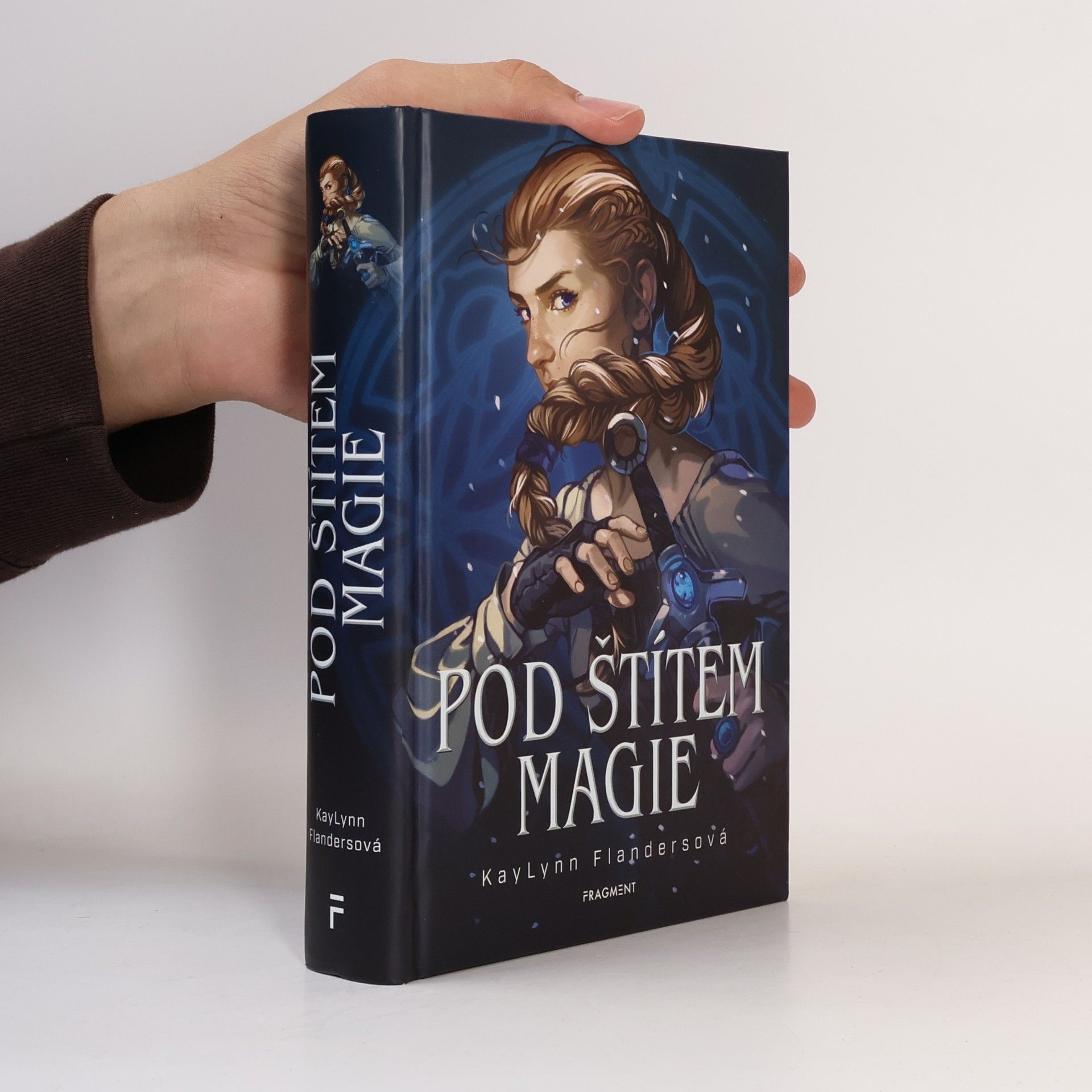 KayLynn Flanders Pod štítem magie