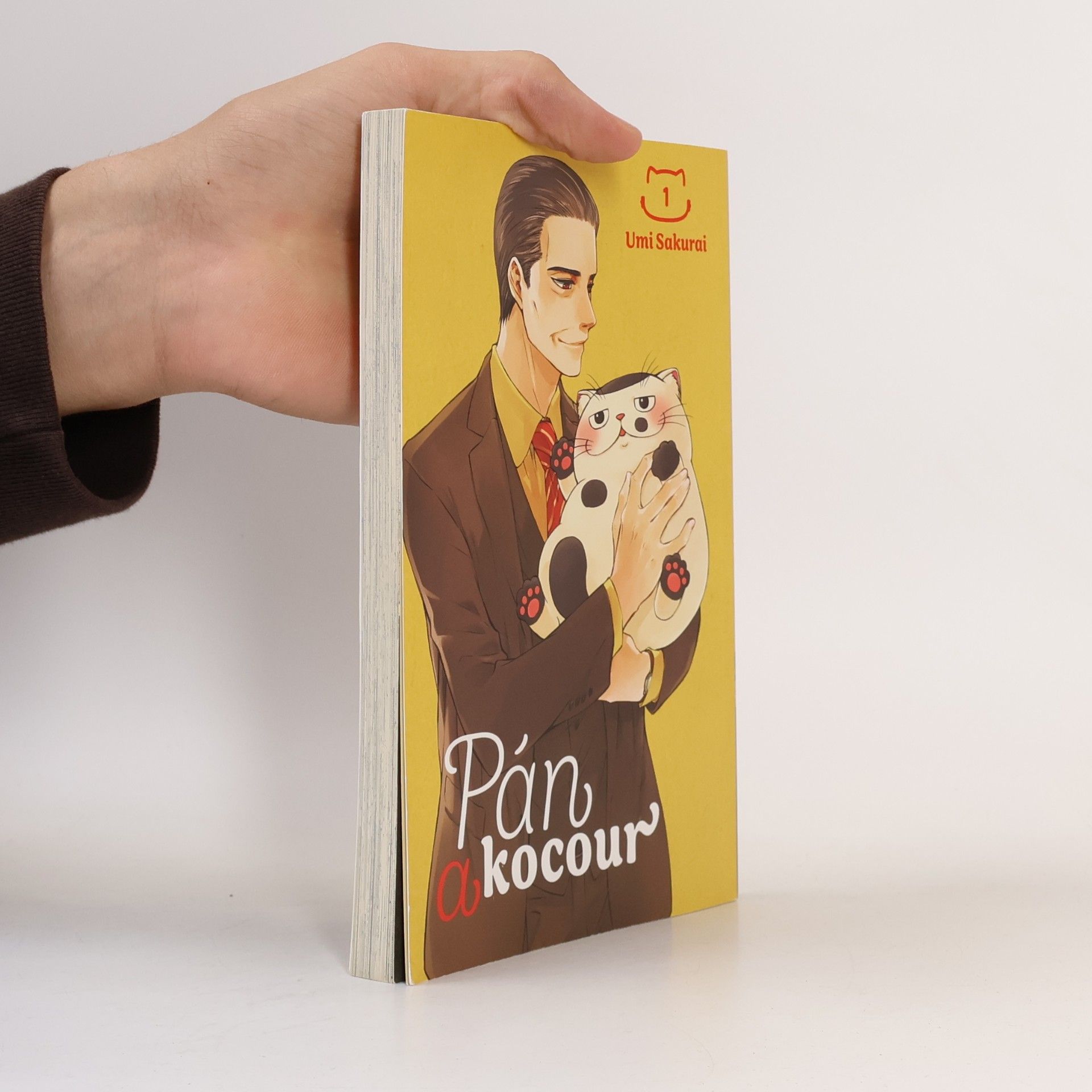 Umi Sakurai Pán a kocour 1