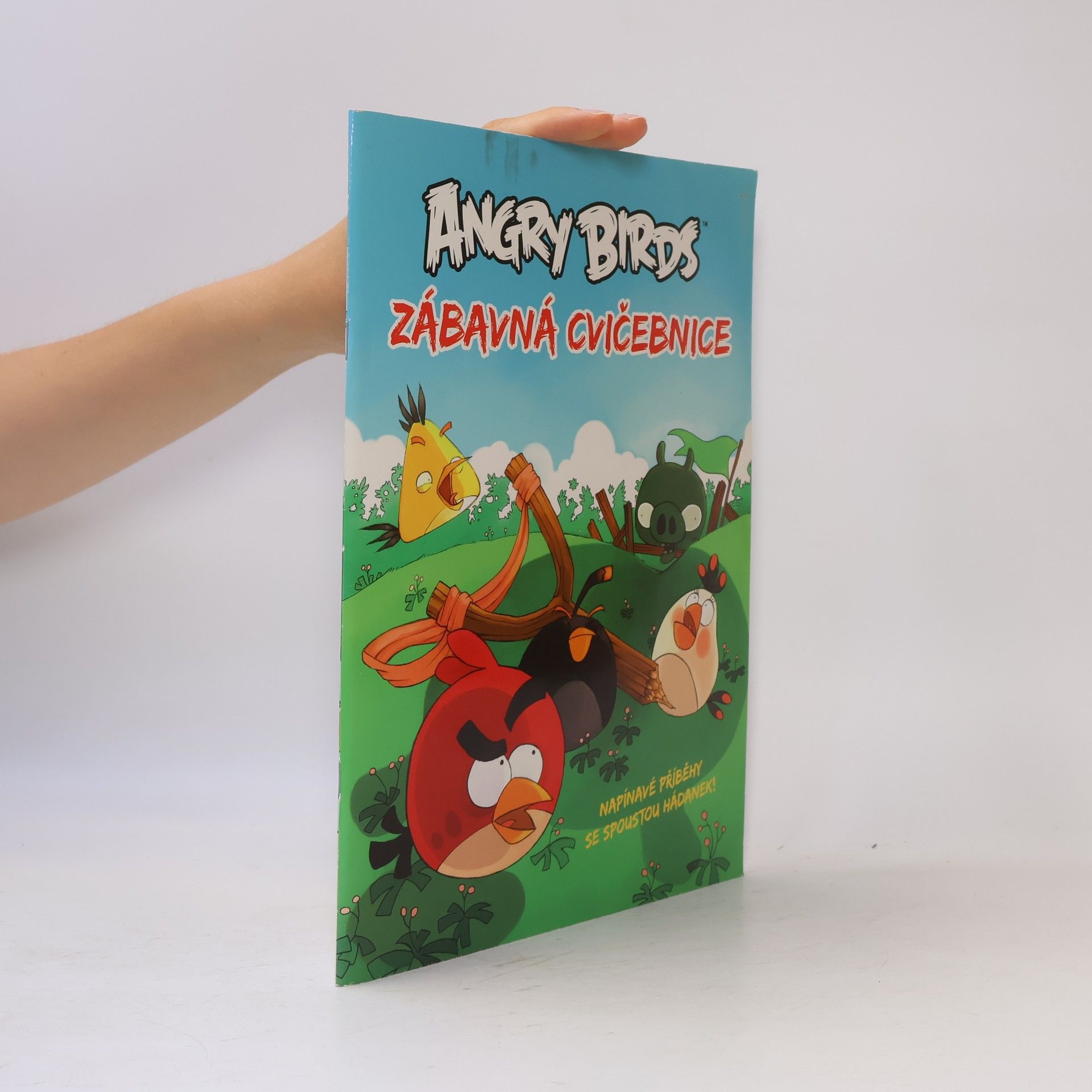 Kolektív autorov Angry Birds. Zábavná cvičebnice