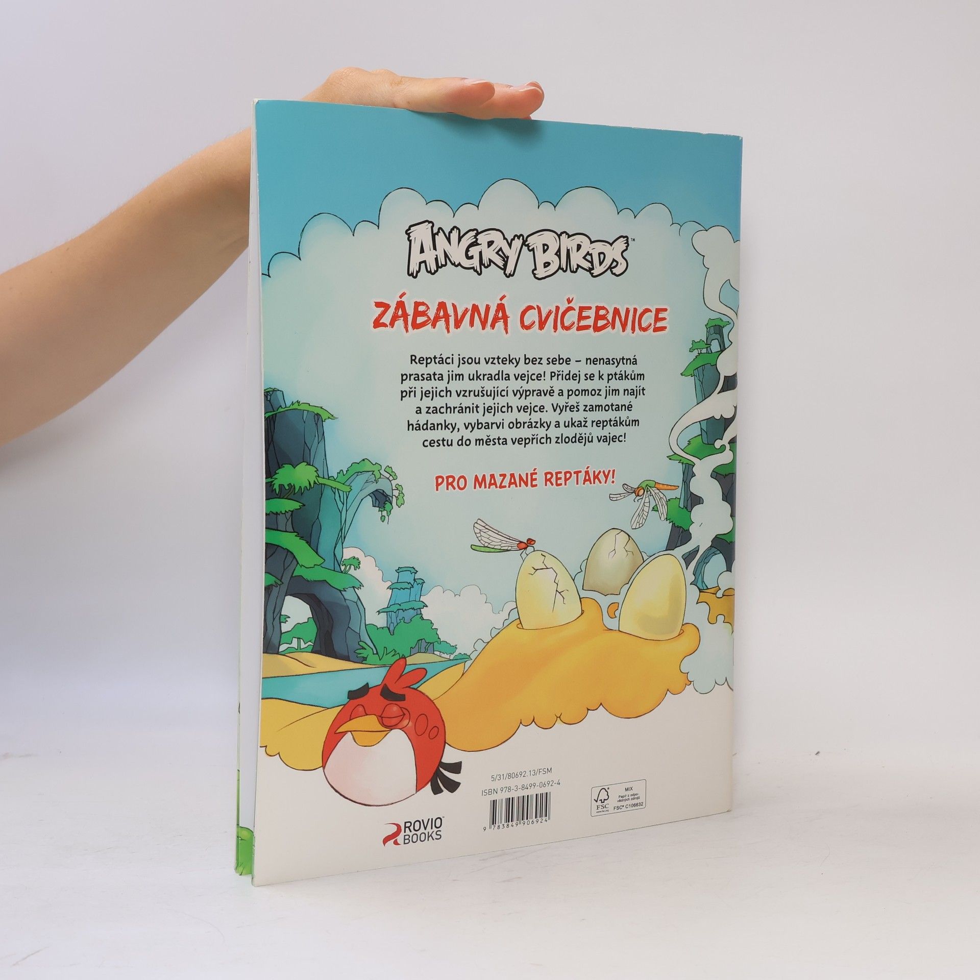 Kolektiv autorů Angry Birds. Zábavná cvičebnice