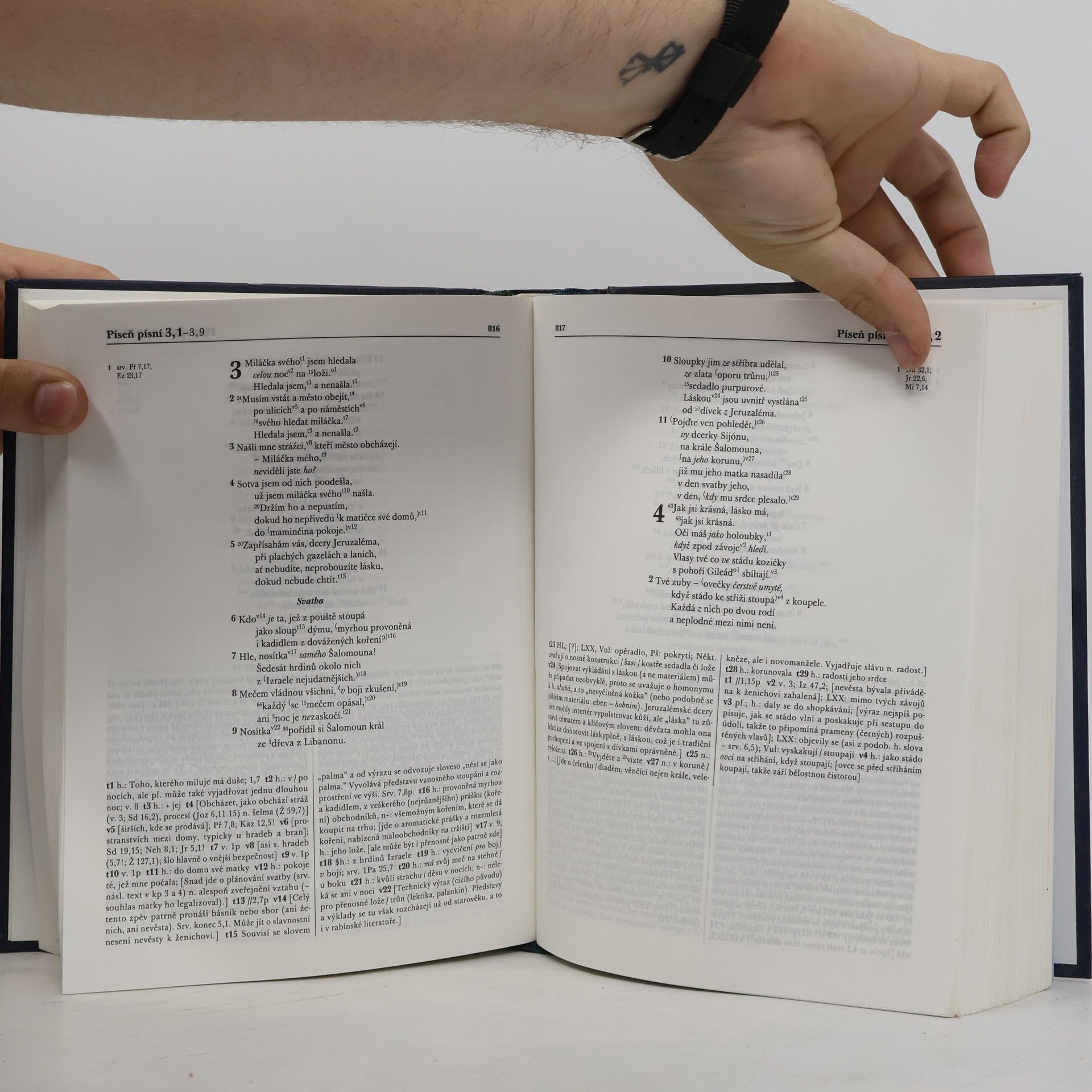 Michal Krchňák Bible. Český studijní překlad.