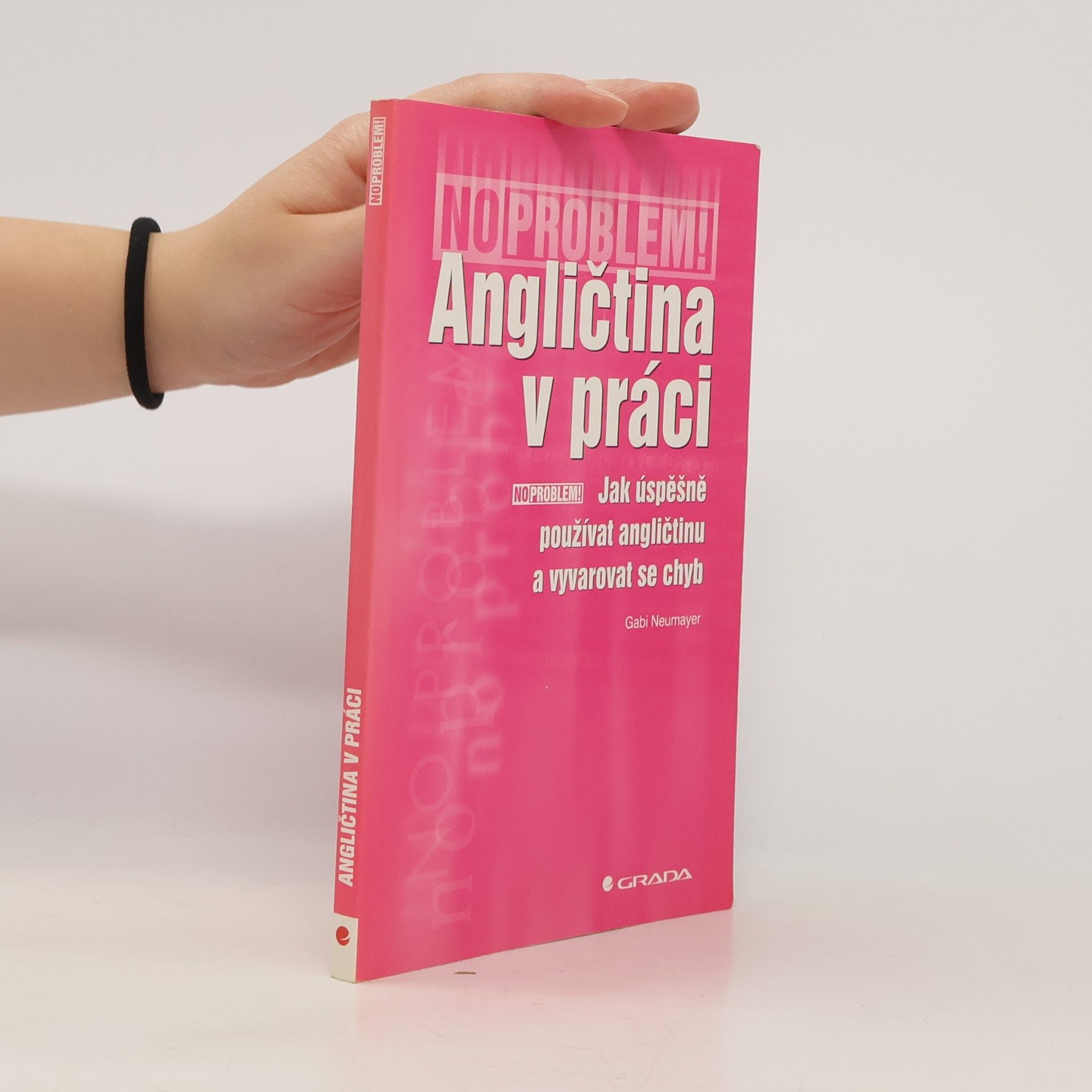 Gabi Neumayer Angličtina v práci. Jak úspěšně používat angličtinu a vyvarovat se chyb