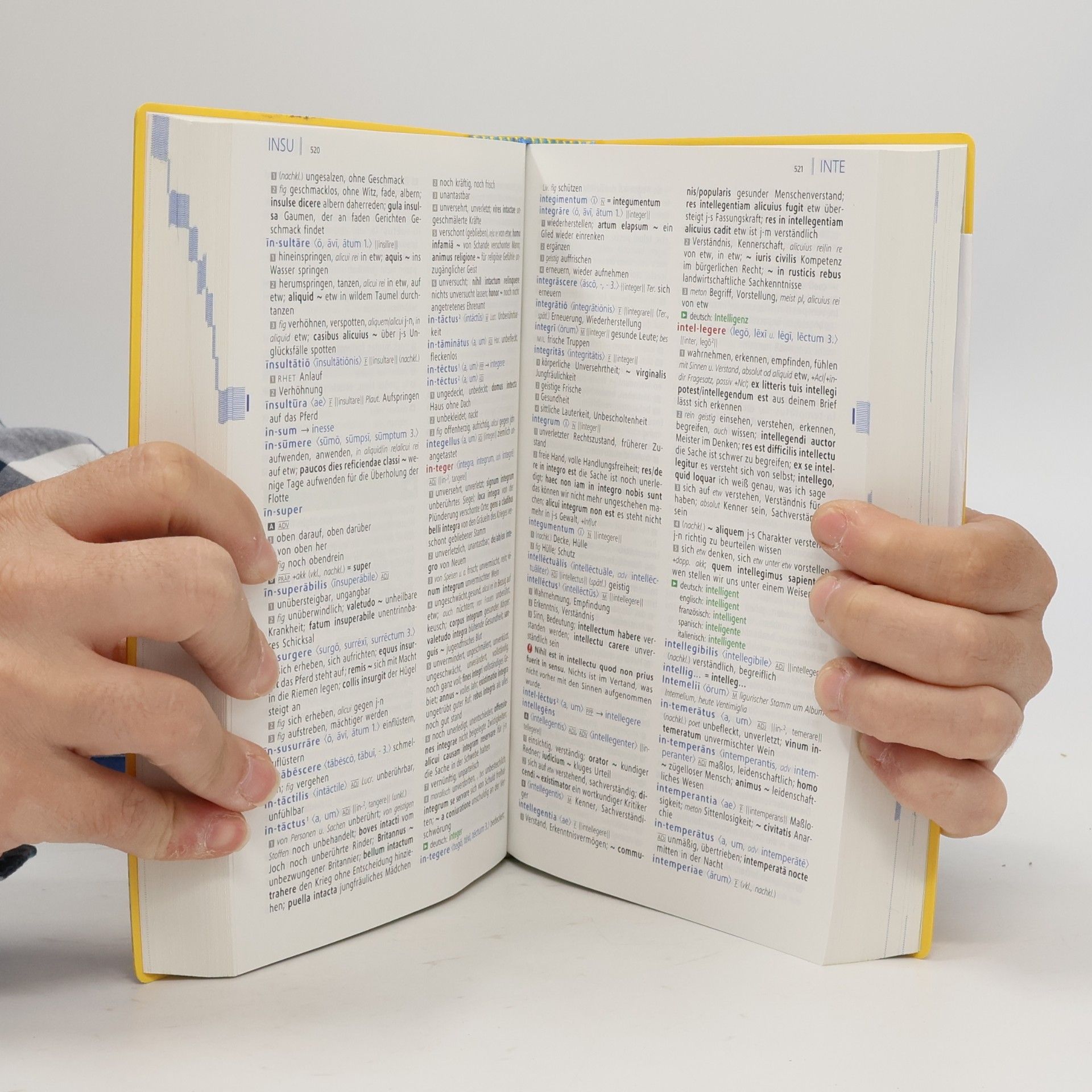Rachele Zoli Sudbrock Langenscheidt, Premium-Schulwörterbuch Latein
