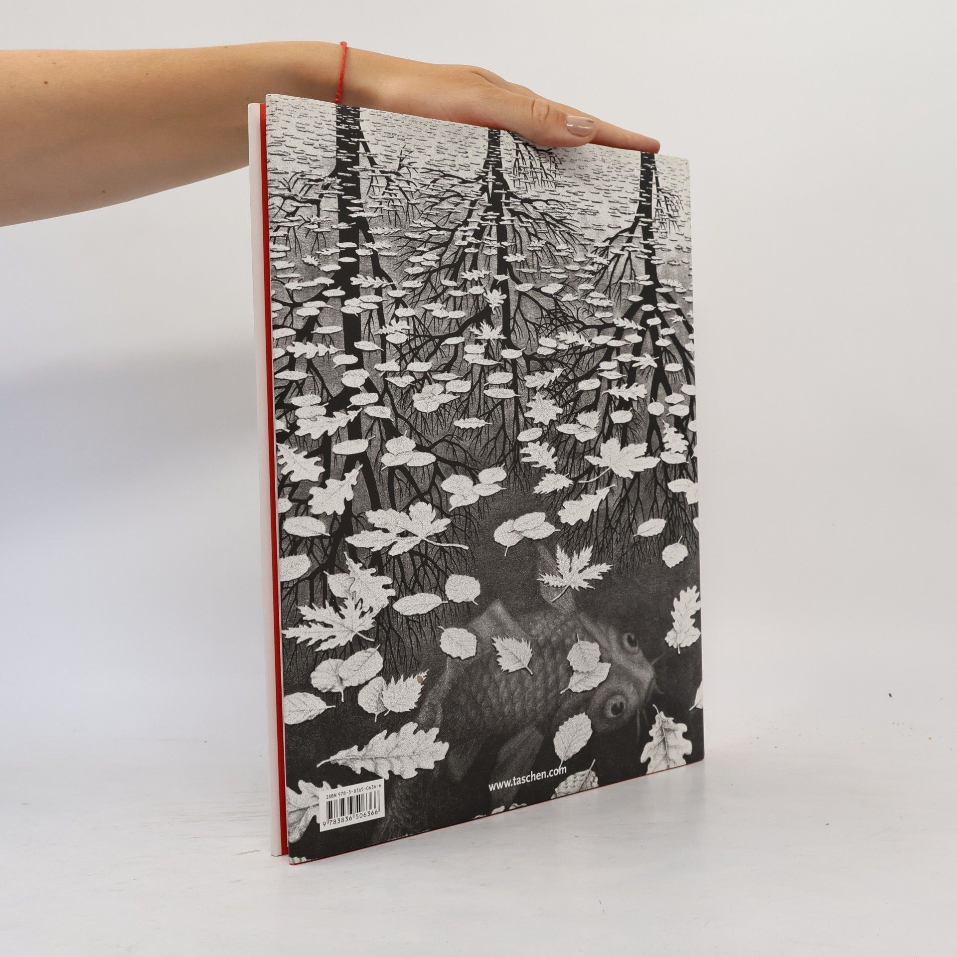 M. C. Escher Graphik und Zeichnungen