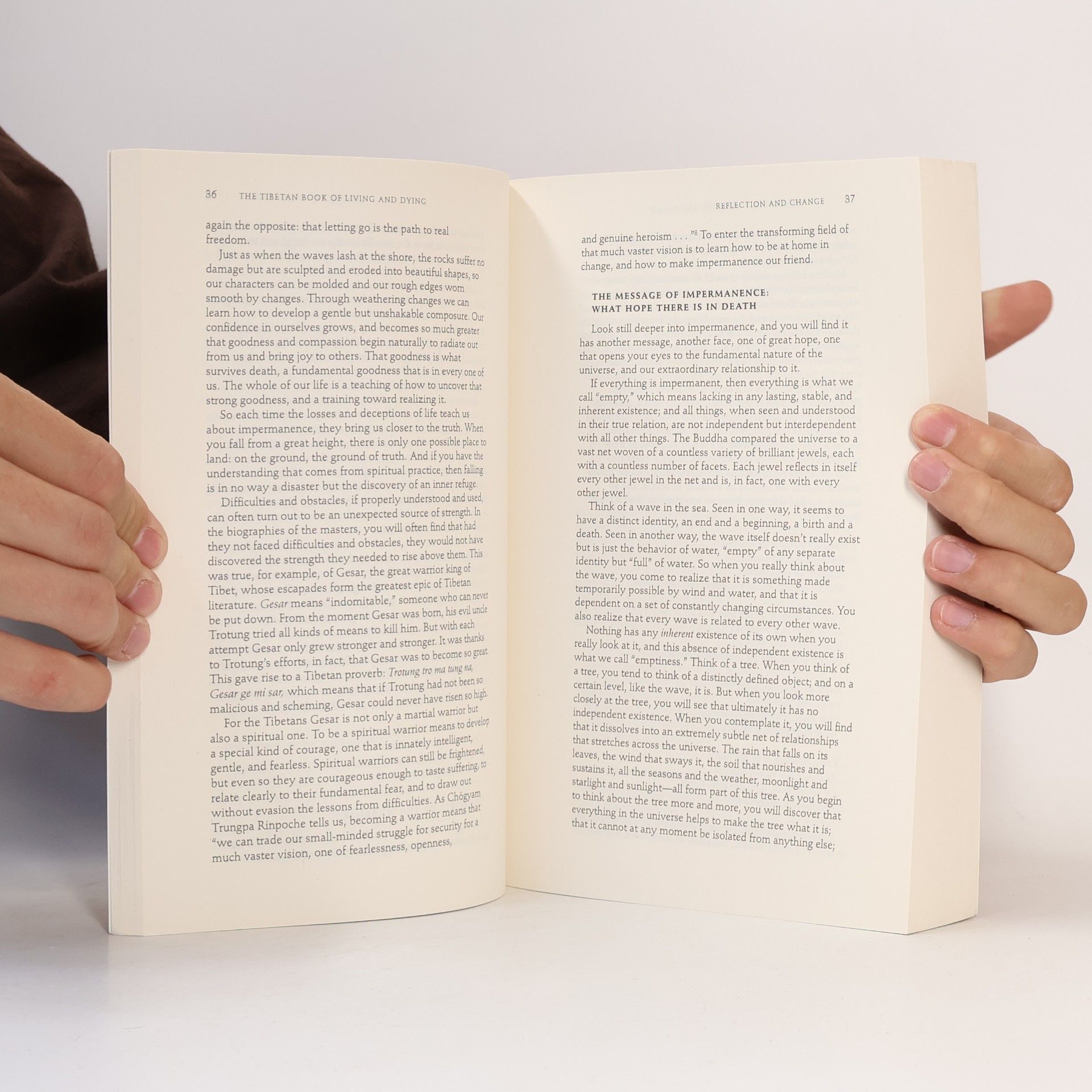 Sogyal Rinpoche The Tibetan Book Of Living And Dying