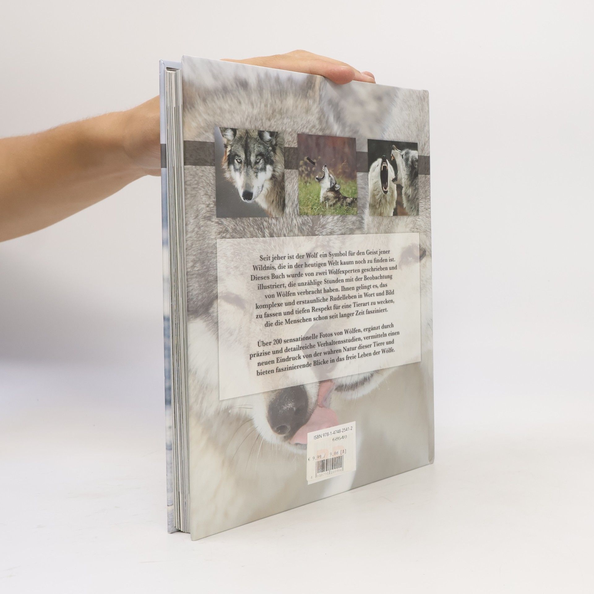 Collectif d'auteurs Der Wolf. Wild und faszinierend