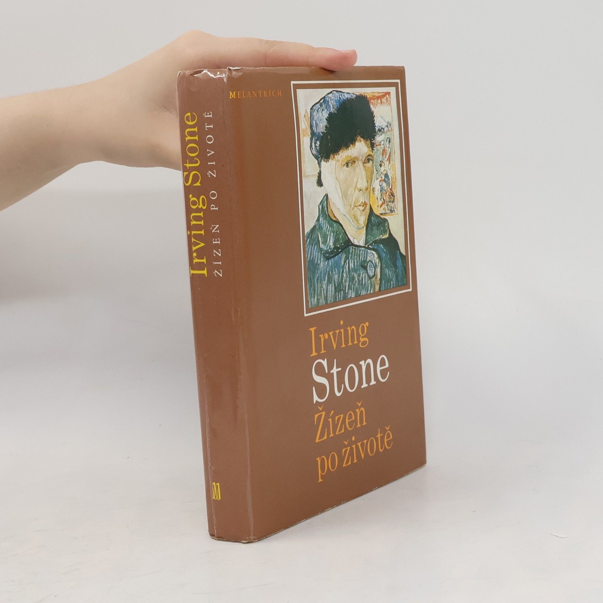 Irving Stone Žízeň po životě
