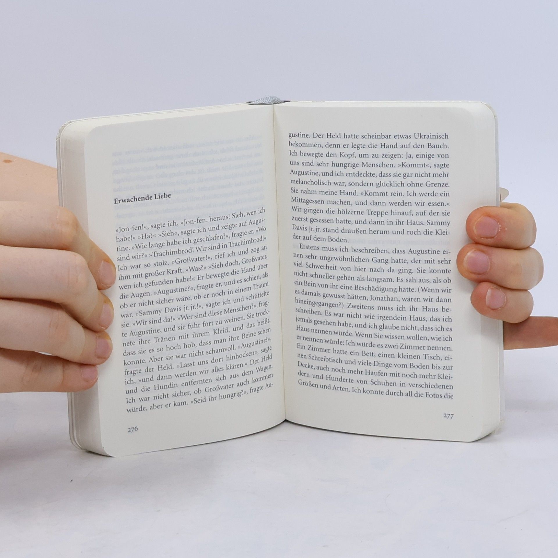 Jonathan Safran Foer Alles ist erleuchtet
