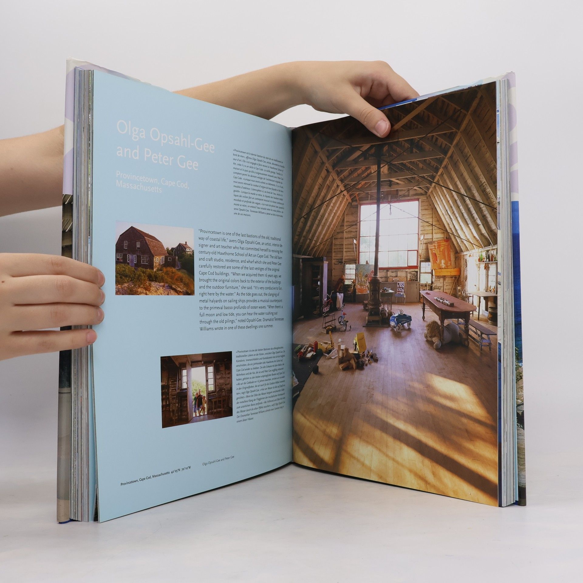 Diane Dorrans Saeks Seaside Interiors