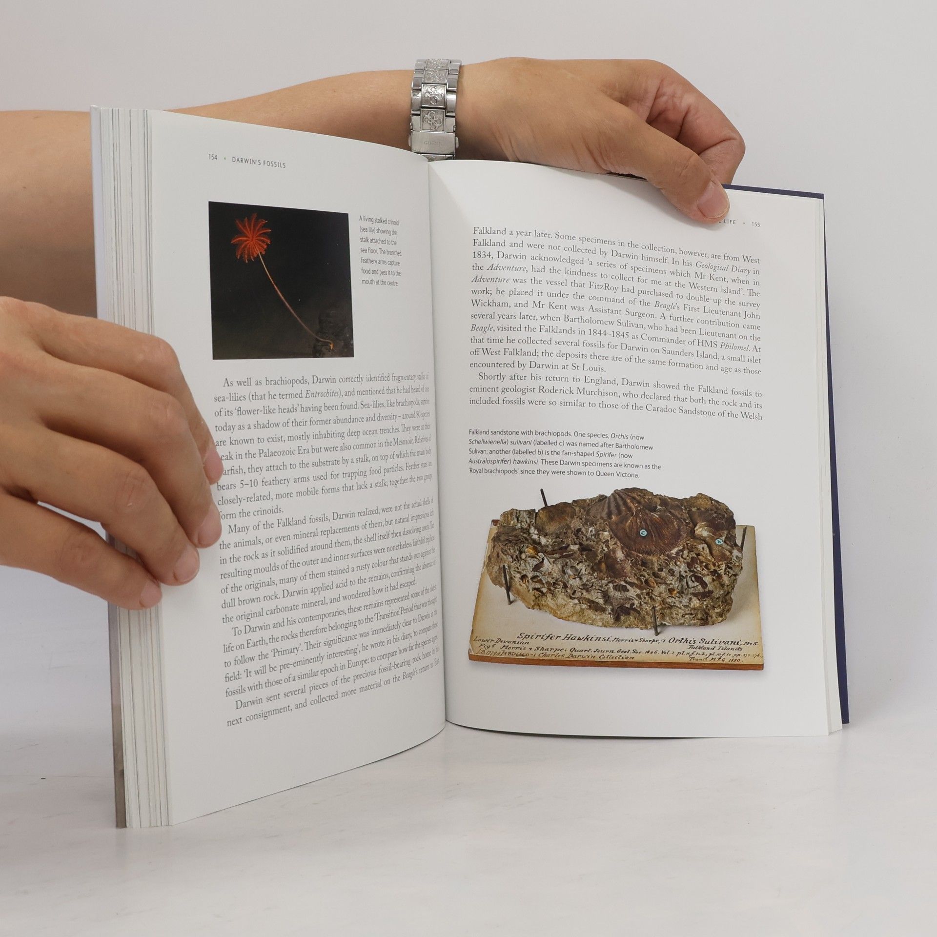 Adrian Lister Darwin's Fossils