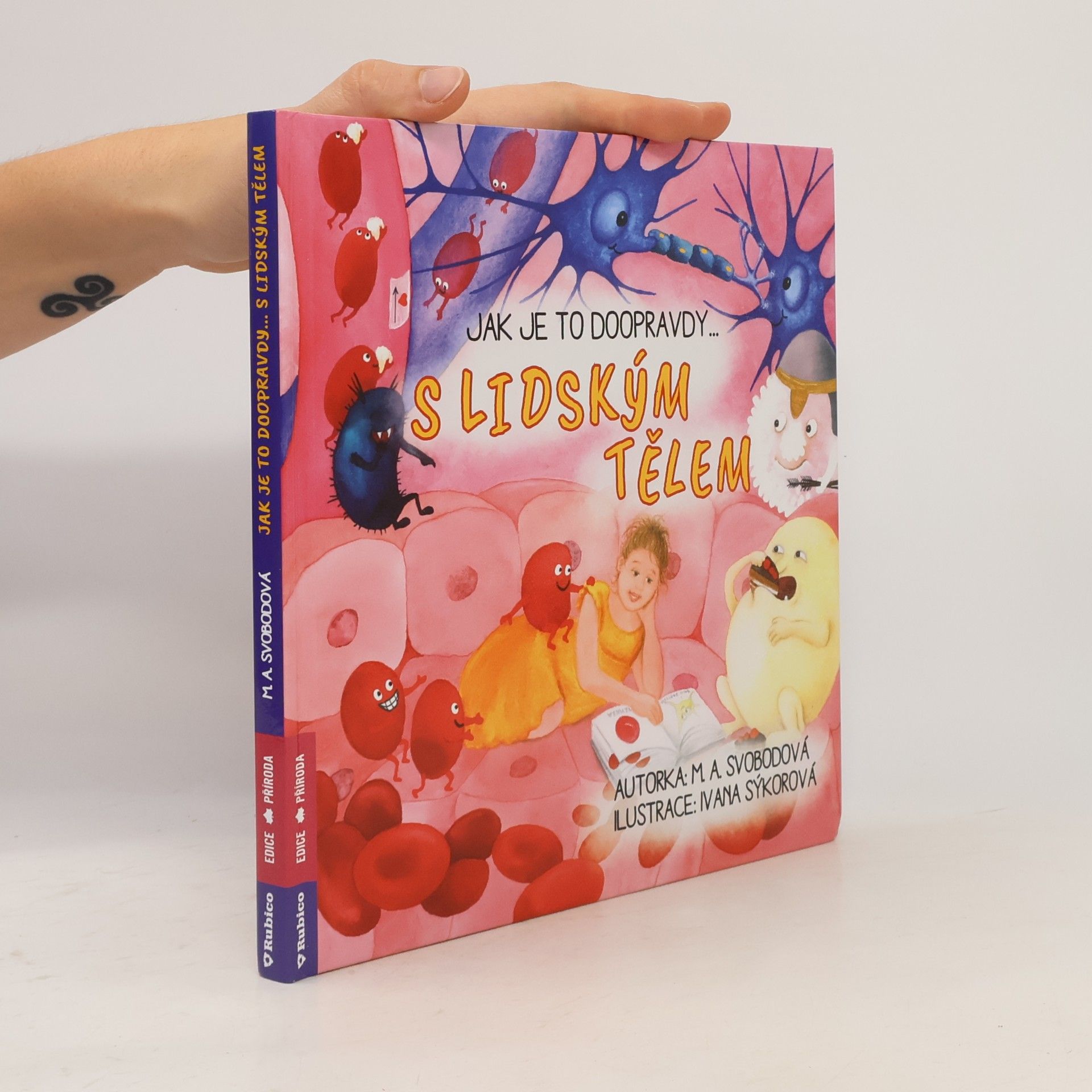 Autorenkollektiv Jak je to doopravdy s lidským tělem