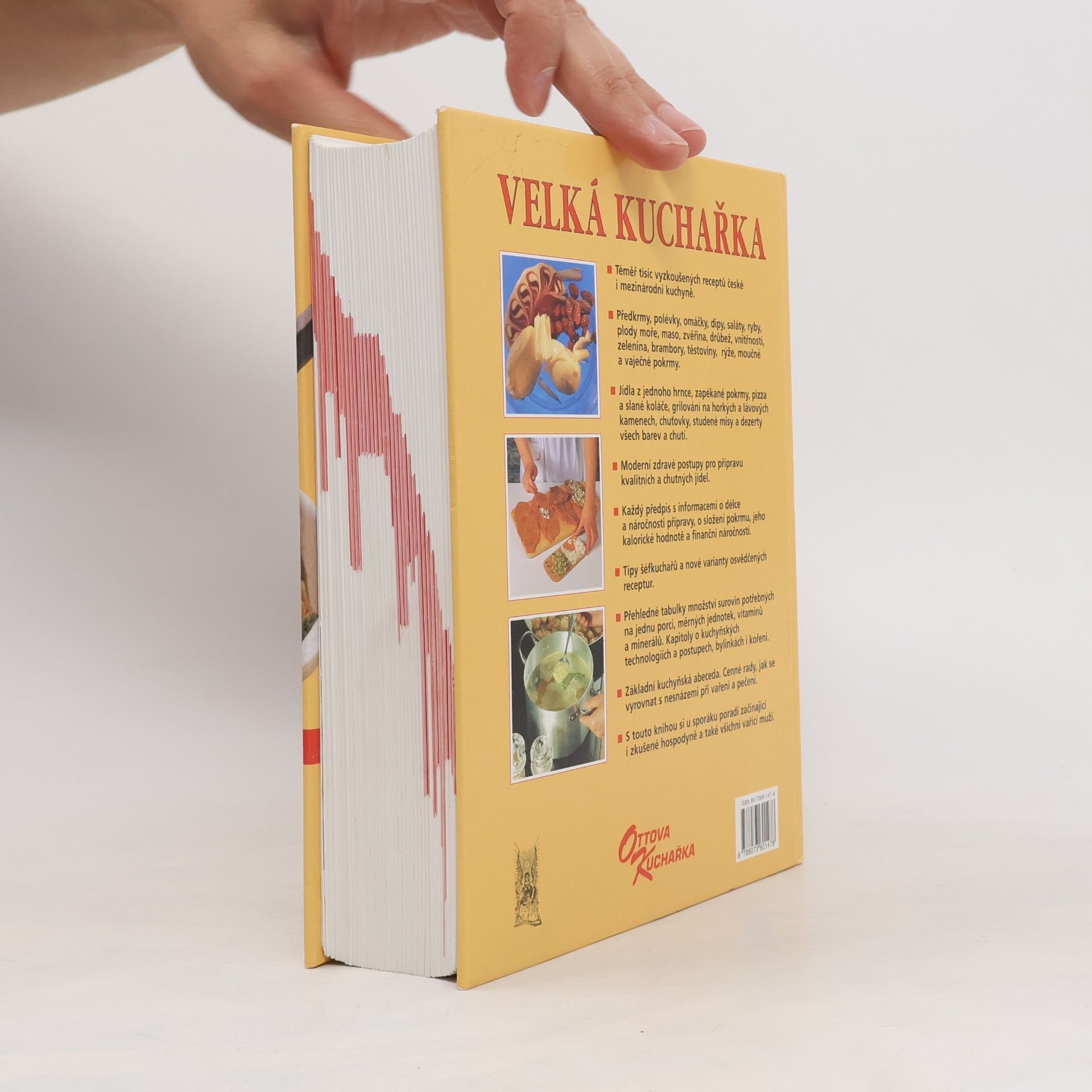 Kolektiv autorů Velká kuchařka