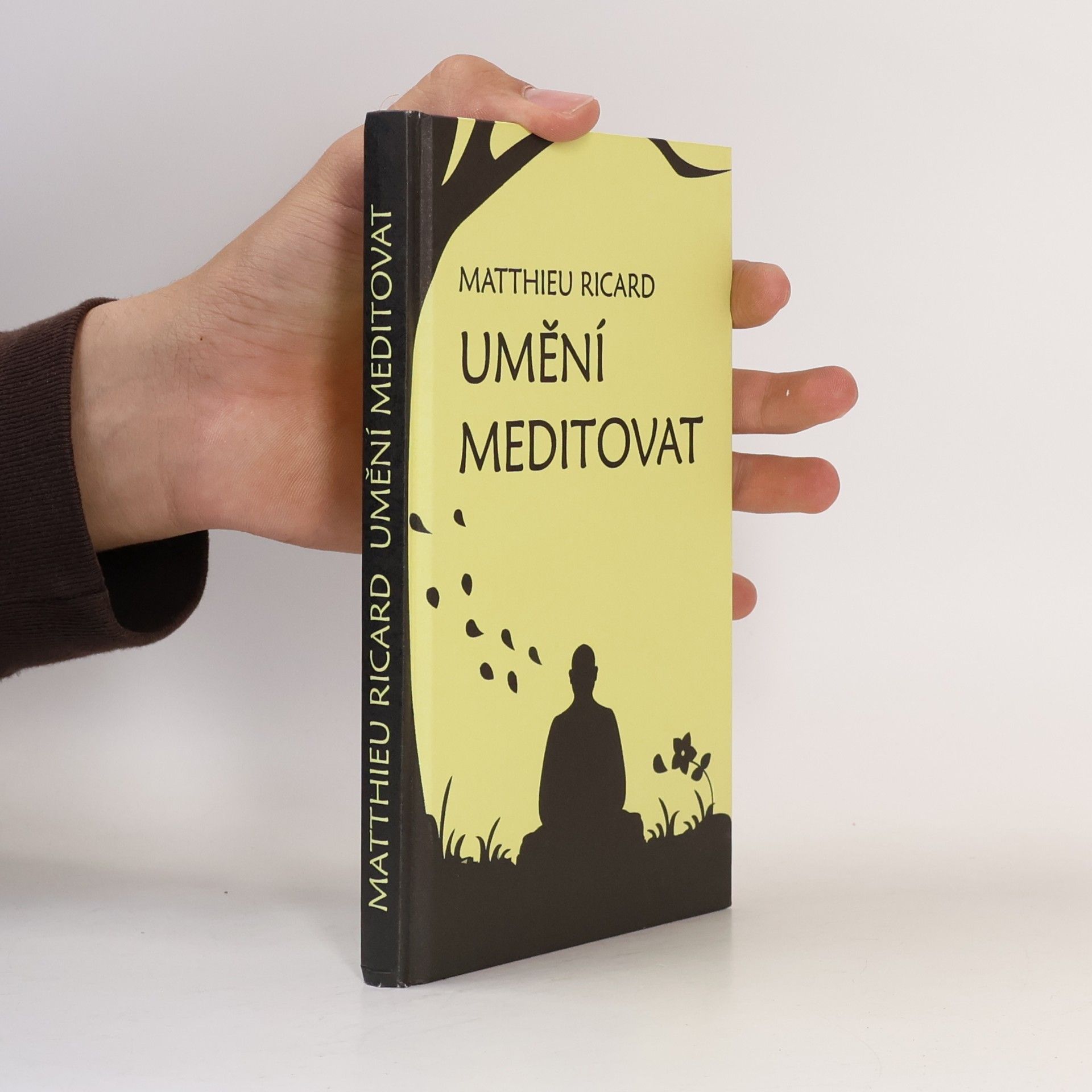 Matthieu Ricard Umění meditovat