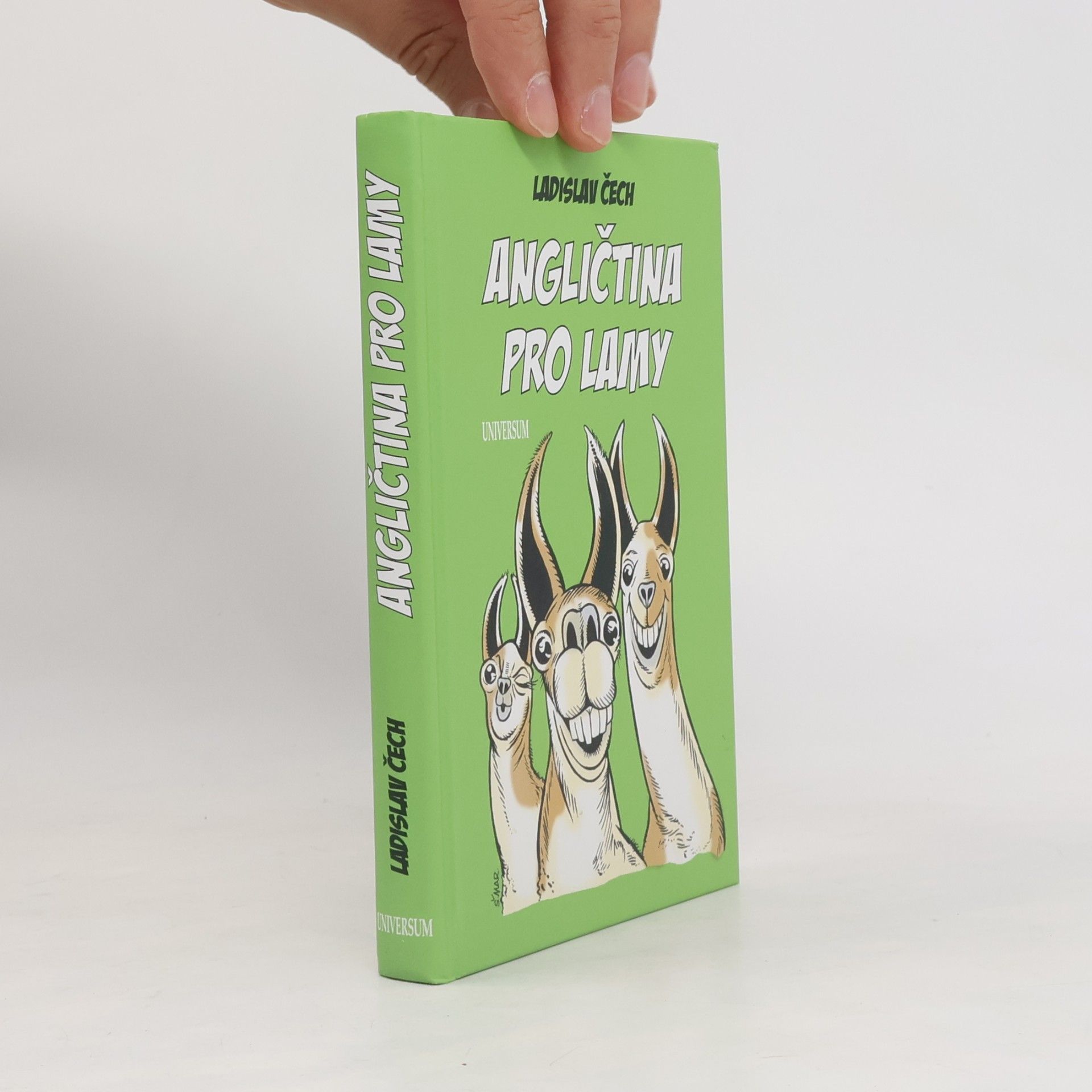 Ladislav Čech Angličtina pro lamy