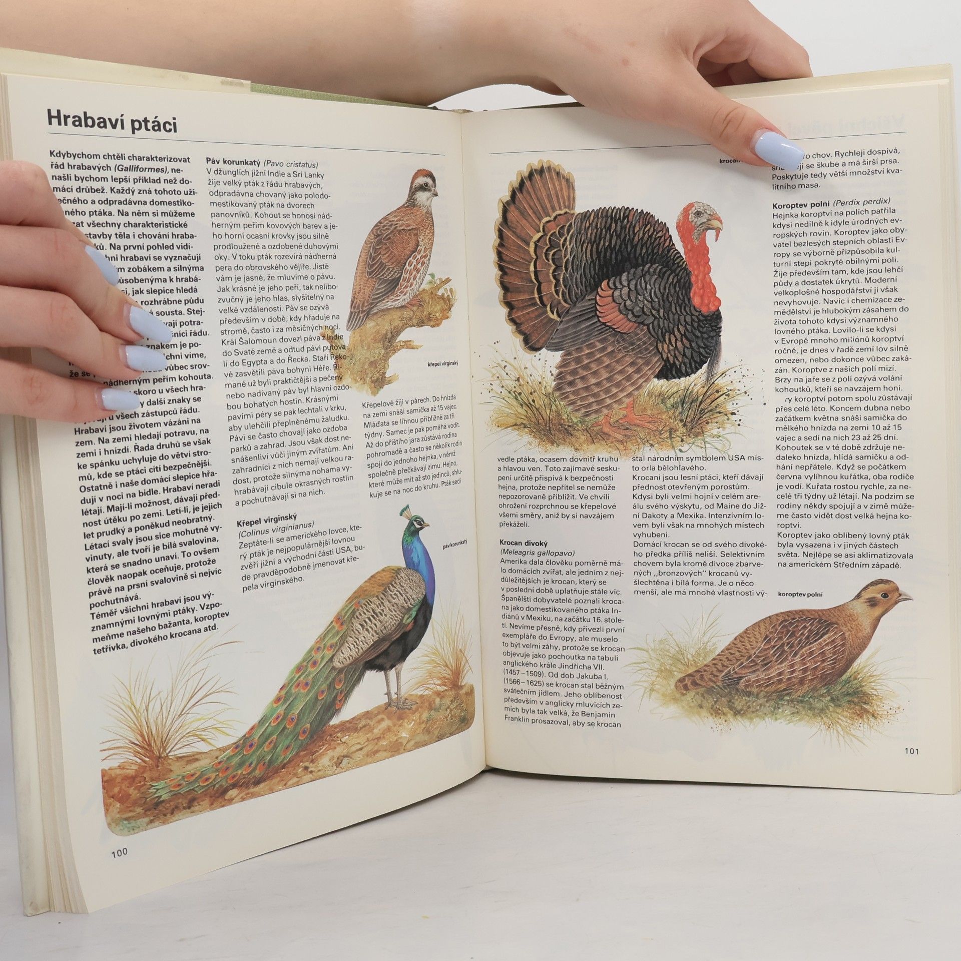 Various authors Pestrá příroda