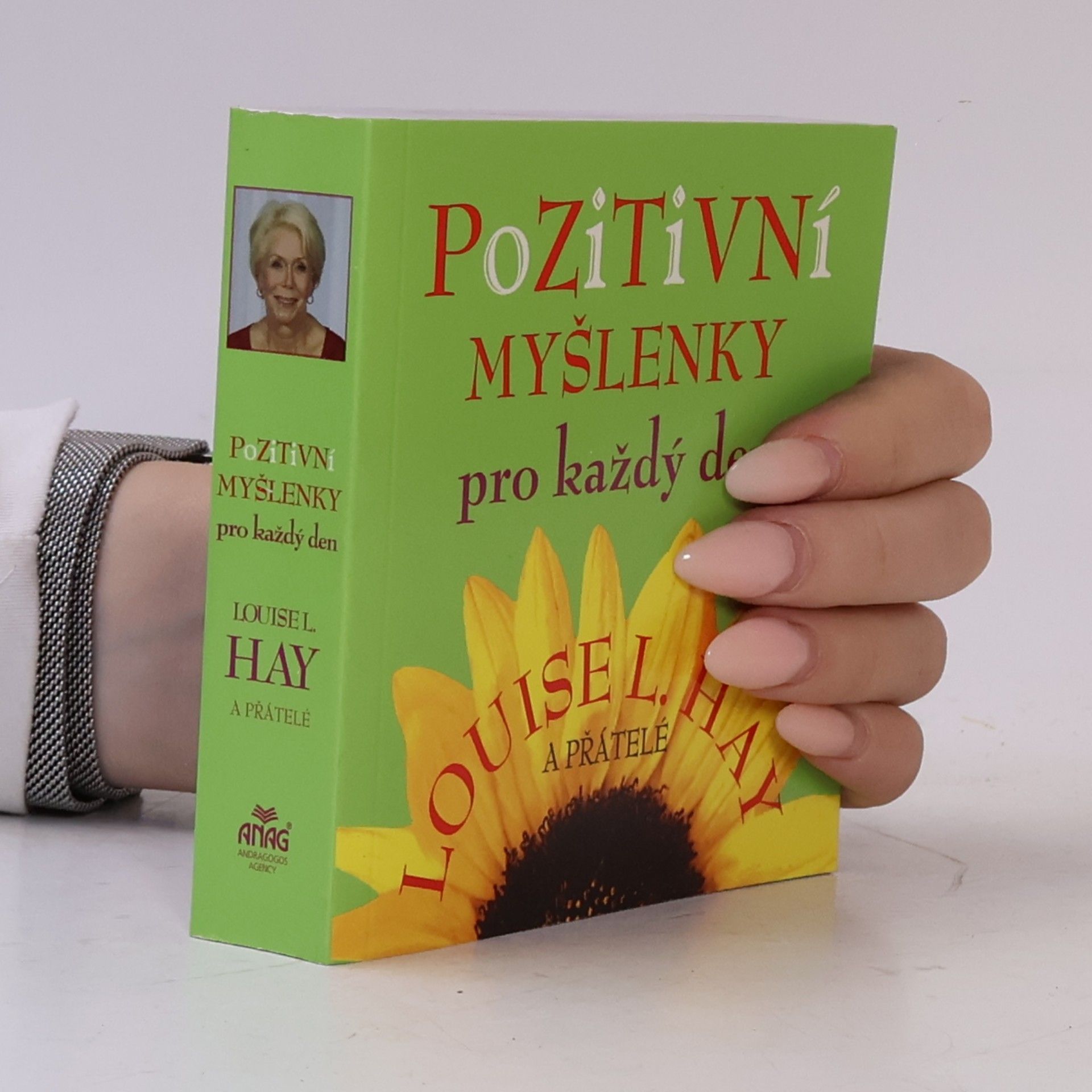 Lousie L. Hay Pozitivní myšlenky pro každý den