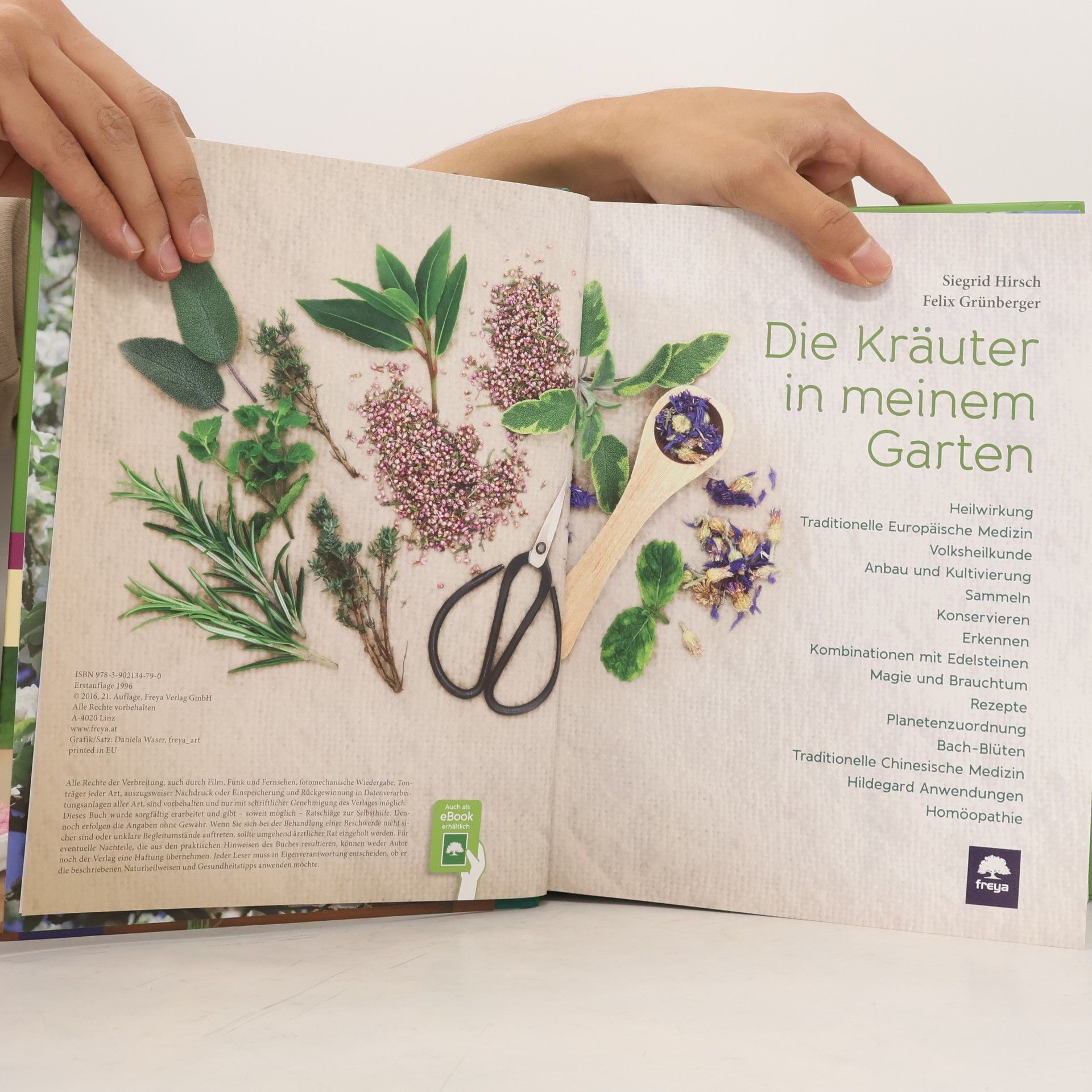 Siegrid Hirsch Die Kräuter in meinem Garten