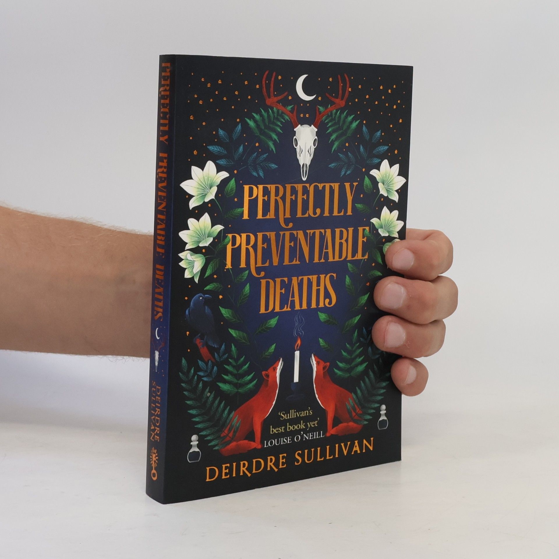 Deirdre Sullivan Perfectly Preventable Deaths