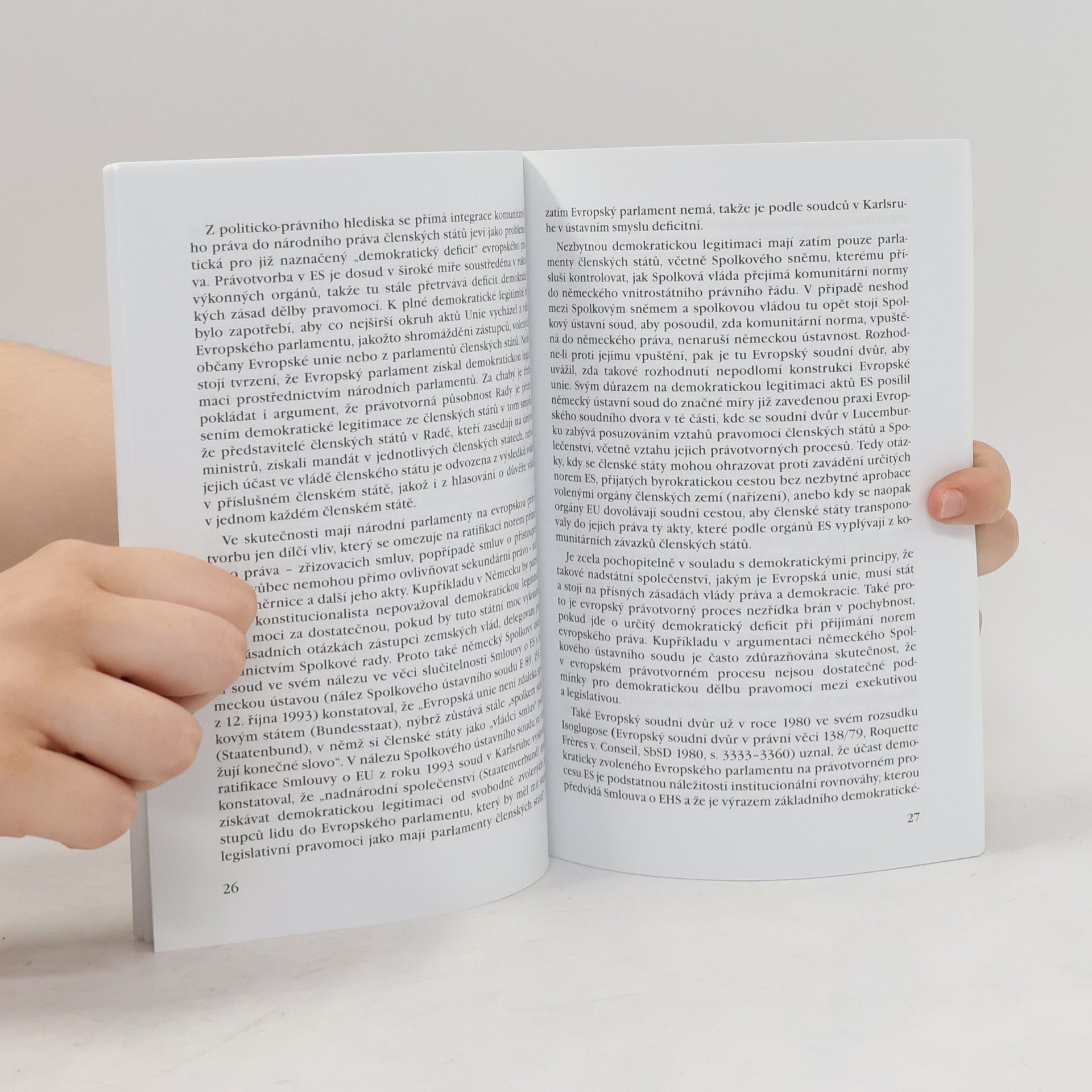 Autorenkollektiv Vstup do Schengenu. Výhody a nevýhody