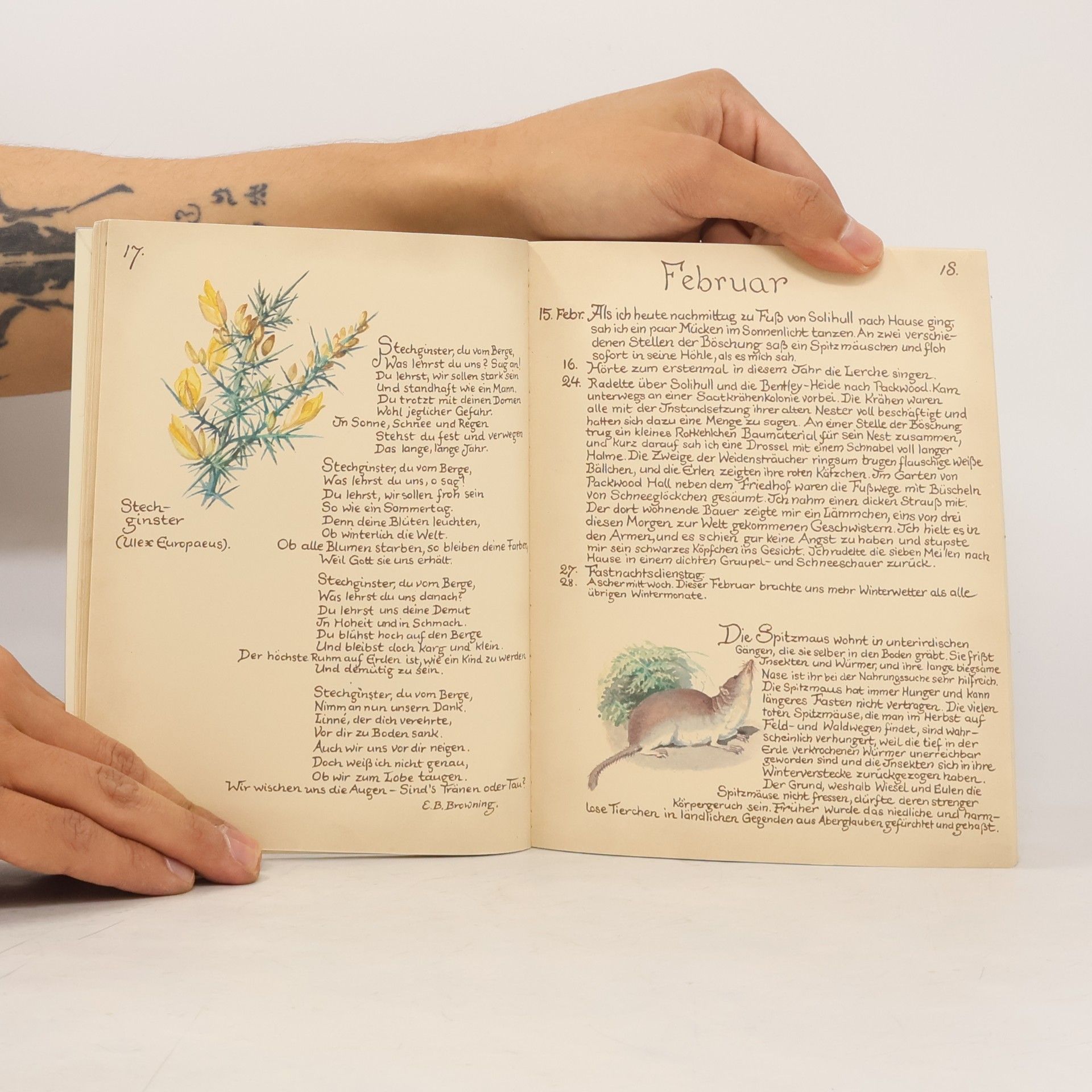 Edith Holden Vom Glück, mit der Natur zu leben