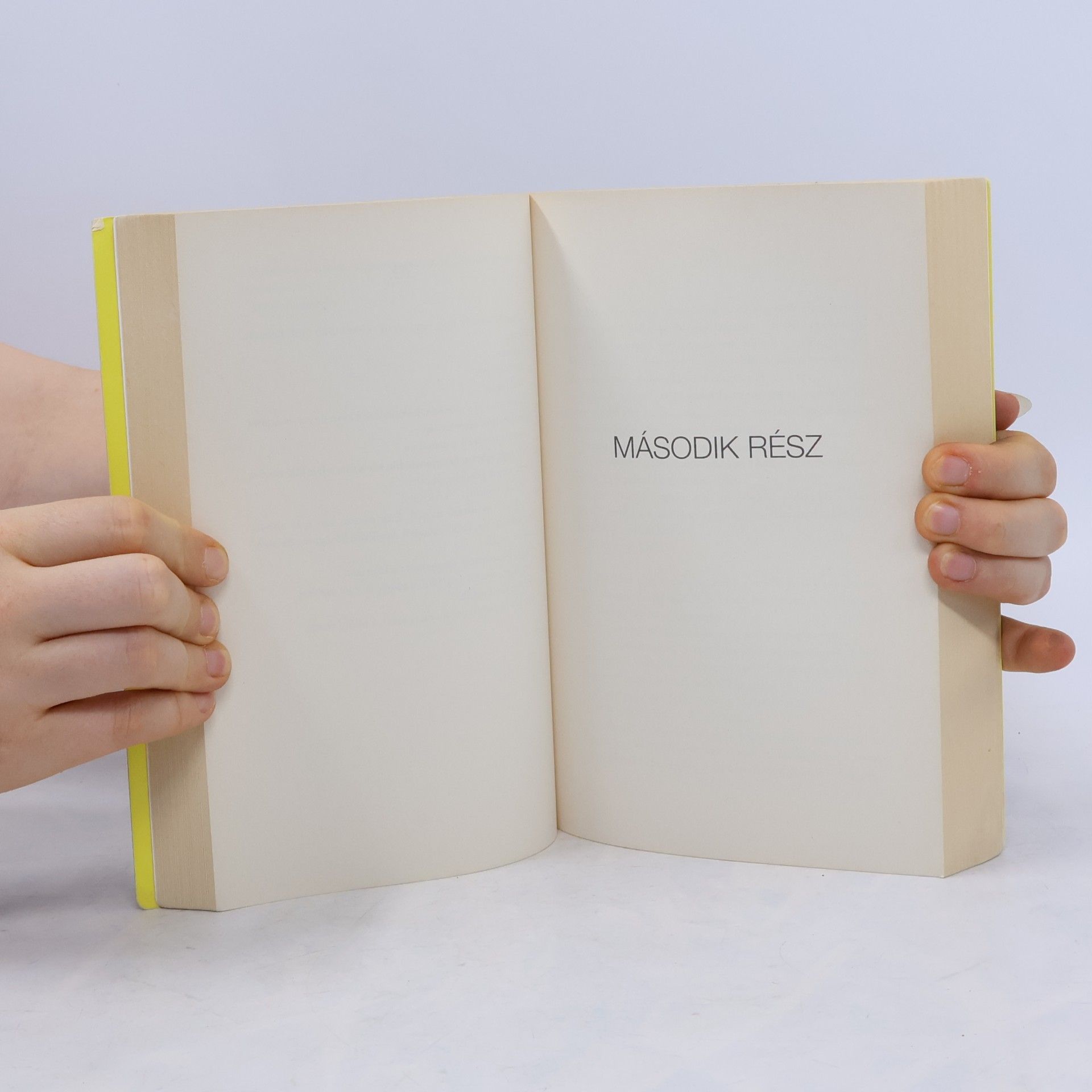 Patrick Ness Soha nincs vége