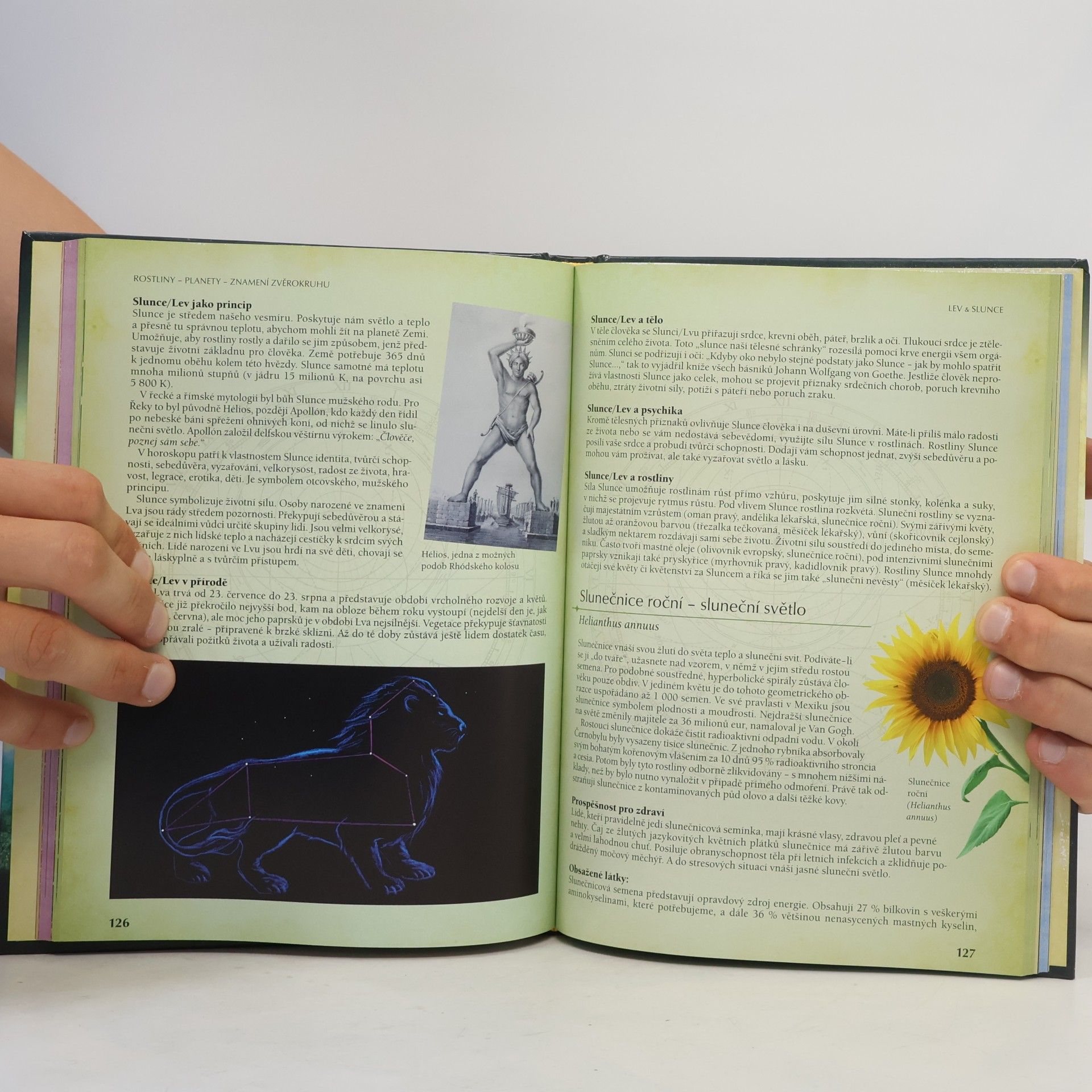 Yvonne H. Koch Astrologie rostlin : léčivá síla rostlin a planet