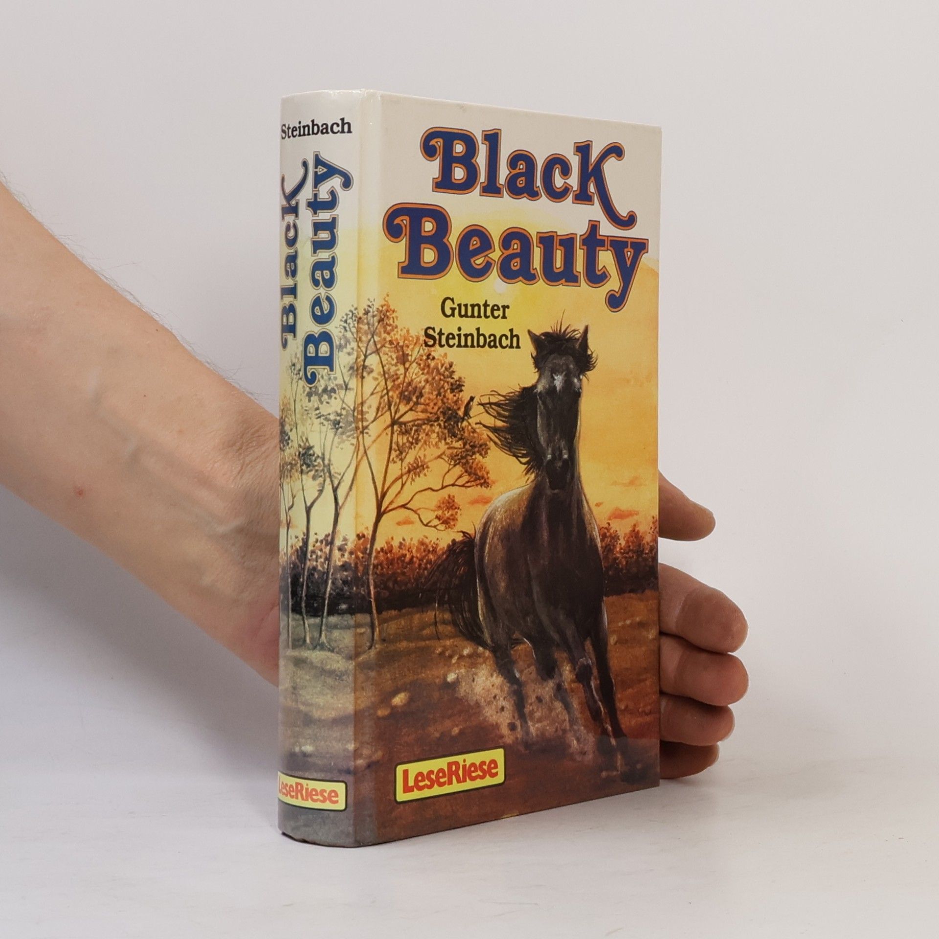 Gunter Steinbach Black Beauty