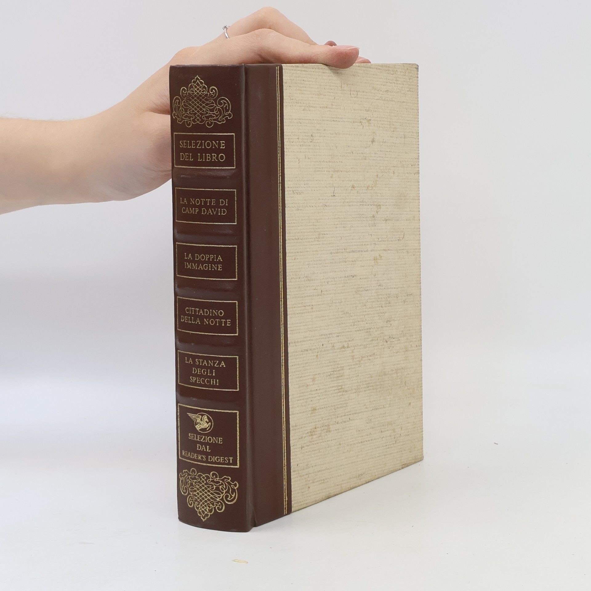 Selezione del Libro. La notte di camp David. La doppia immagine. Cittadino della notte. La stanza degli specchi