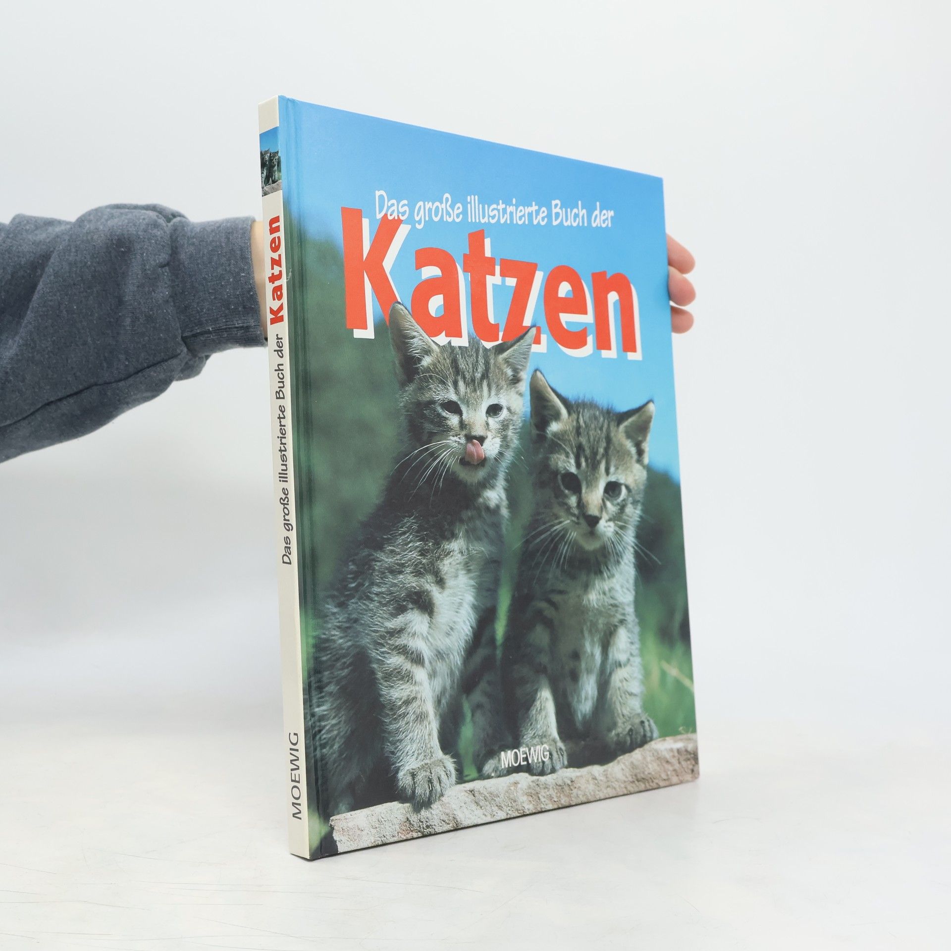 Franz Knuf Das große illustrierte Buch der Katzen