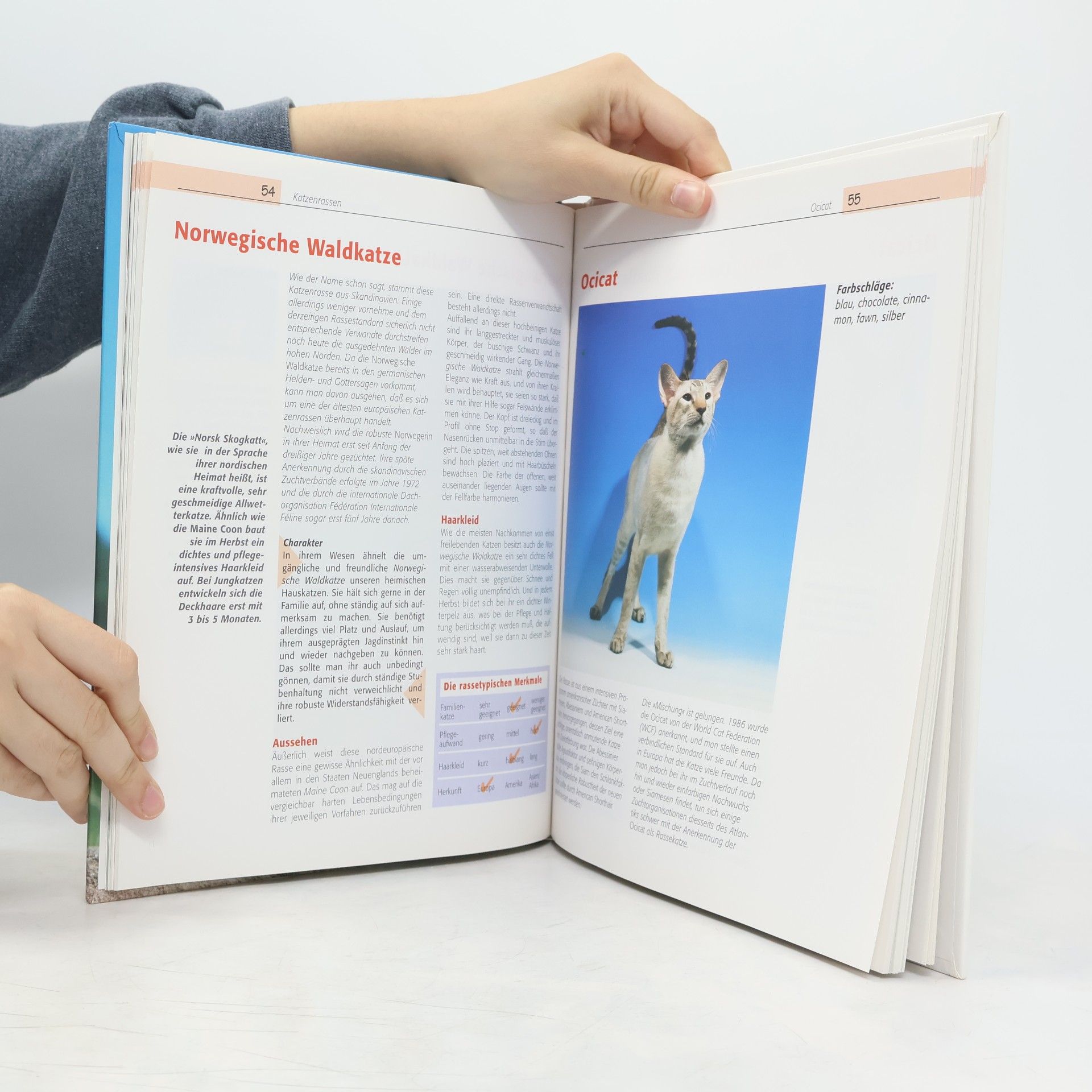 Franz Knuf Das große illustrierte Buch der Katzen