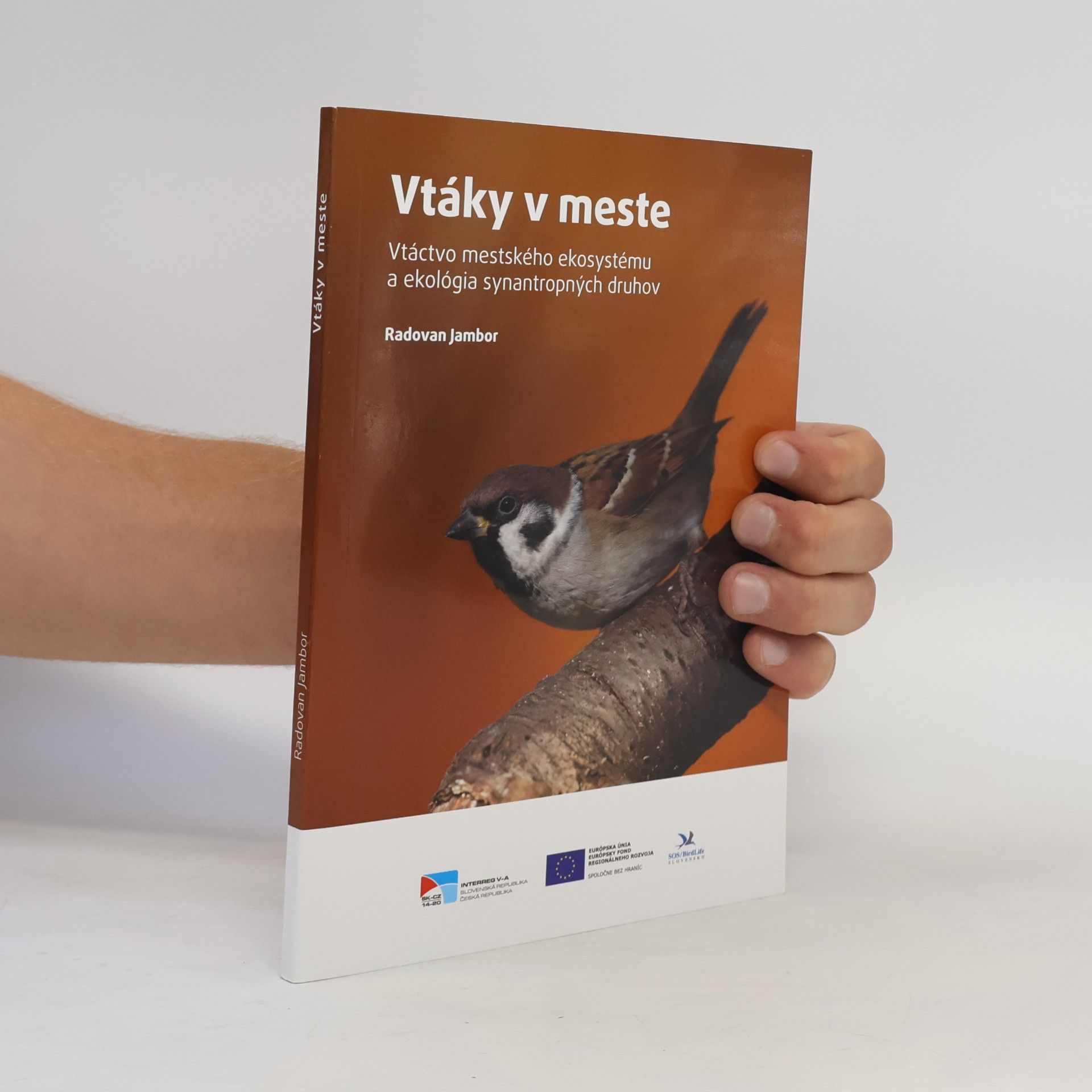 Radovan Jambor Vtáky v meste